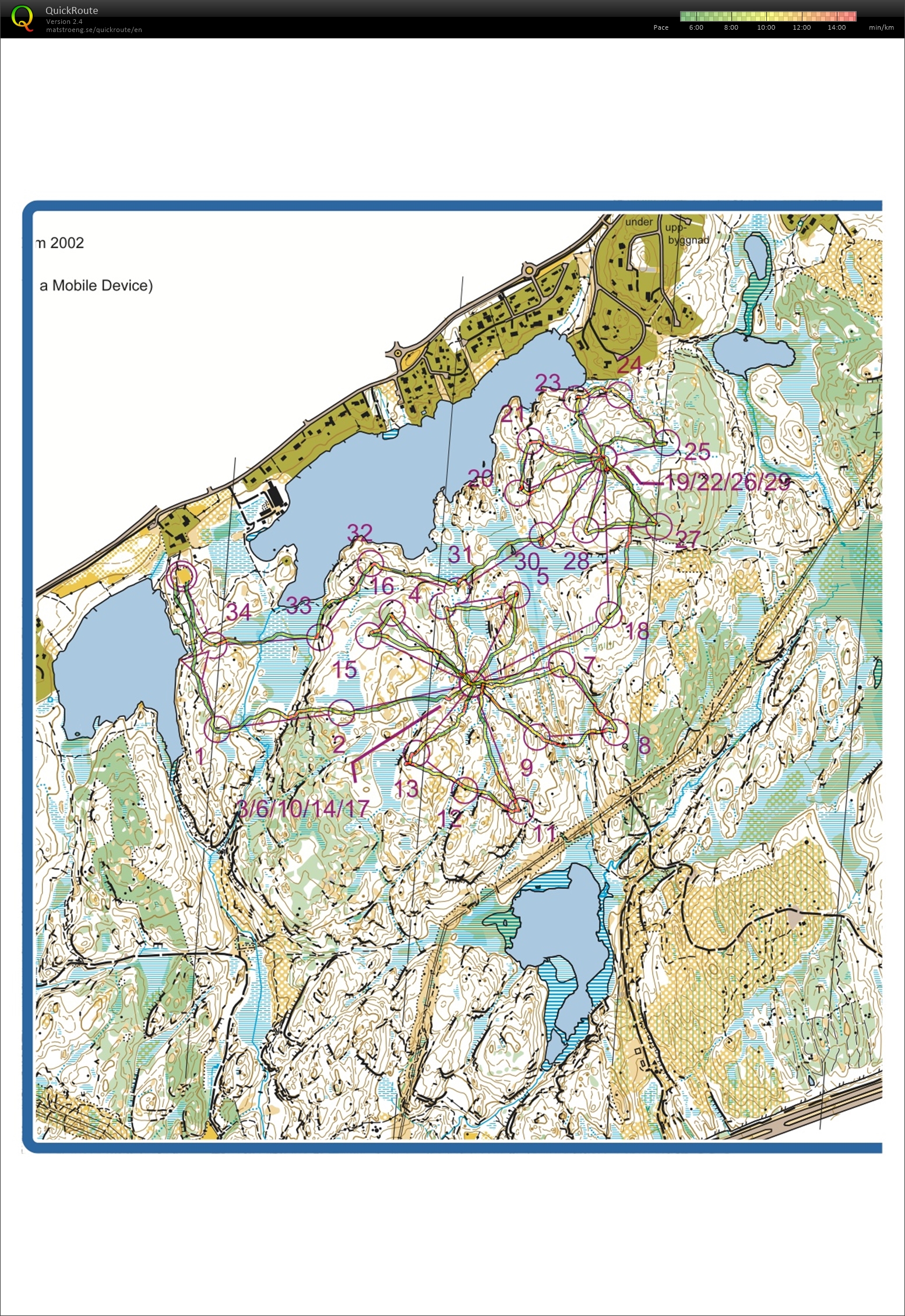 Sppider Web (2014-07-11)