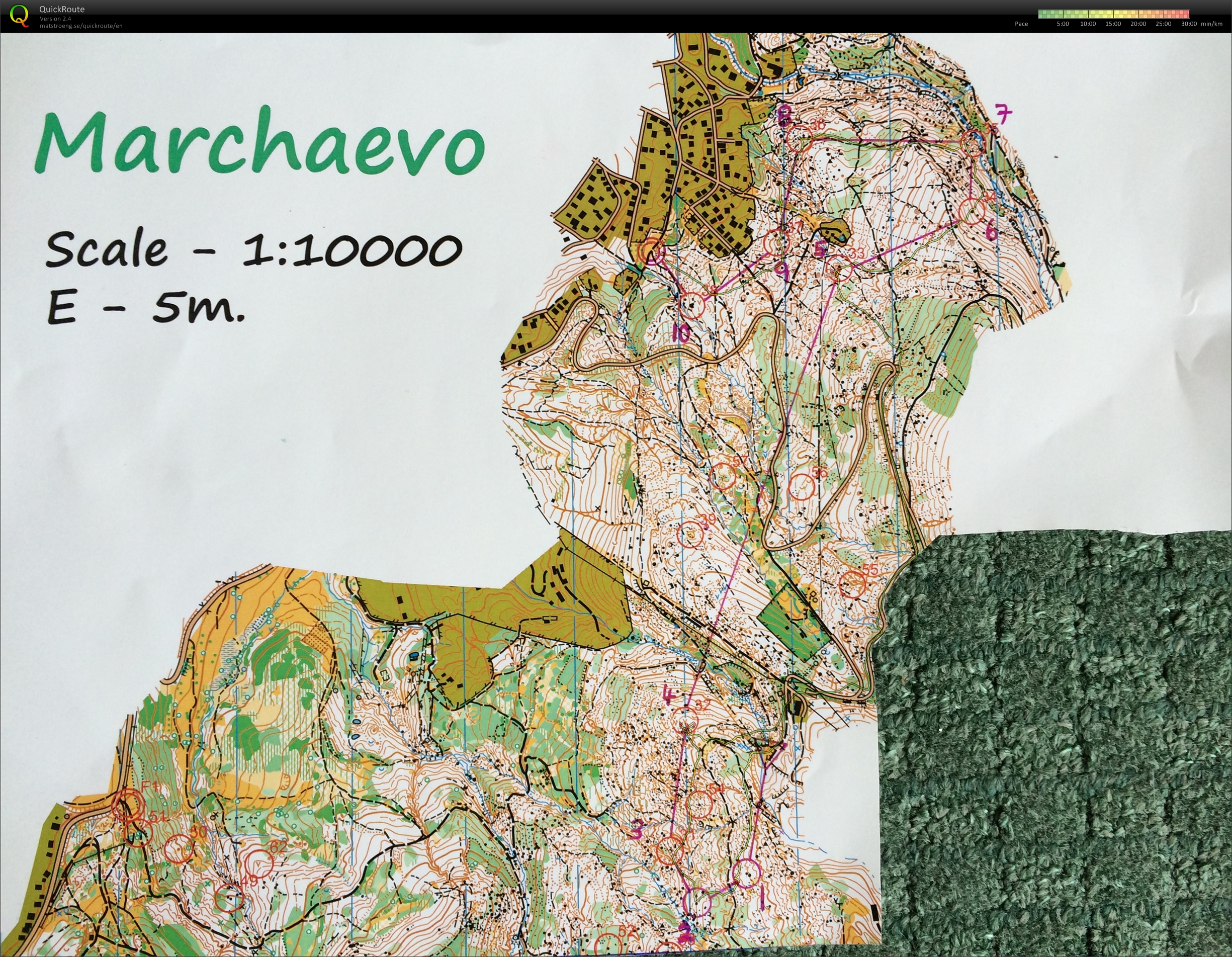 Long sim down hill (16.07.2014)