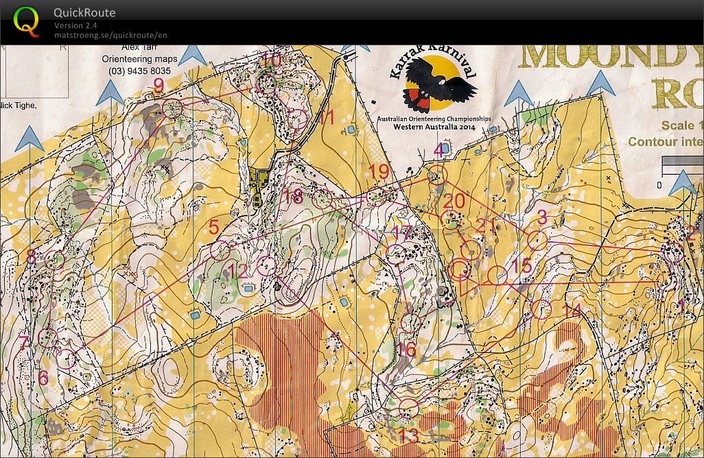 Aus Relay Champs (05.10.2014)