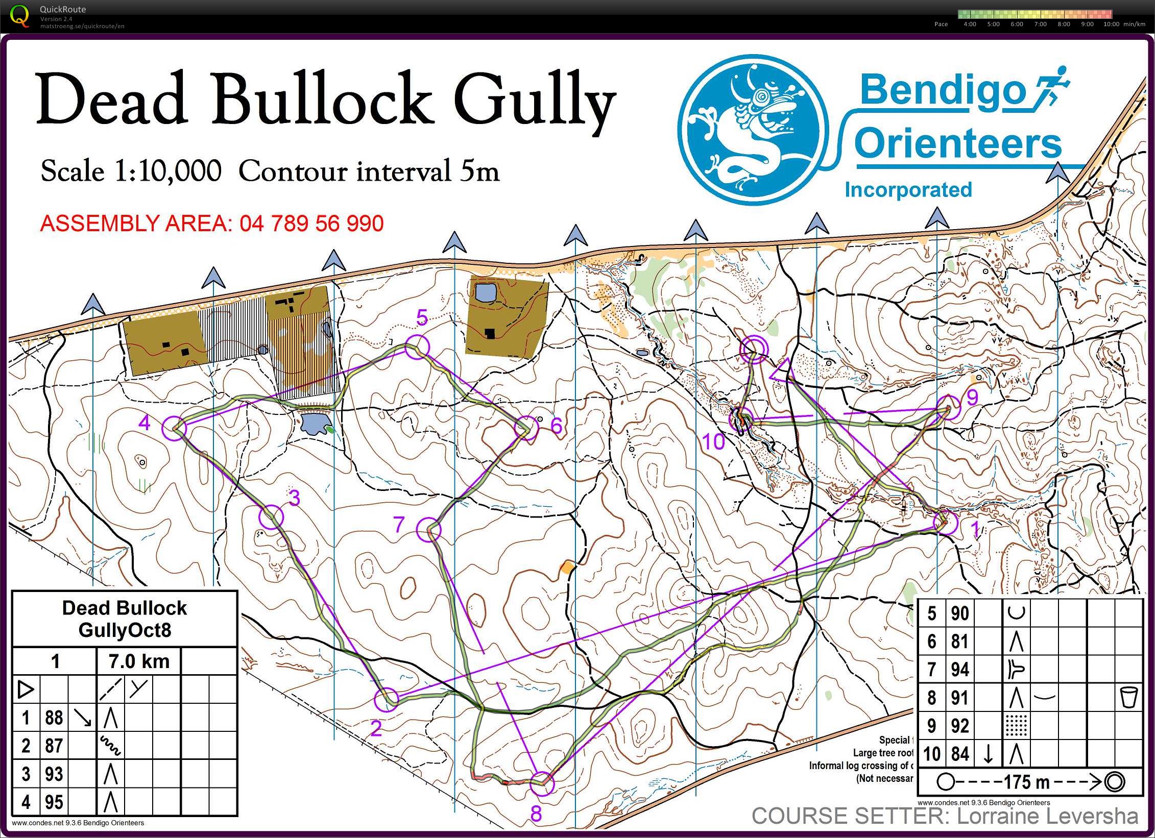 Bendigo Bush 21 (08/10/2016)
