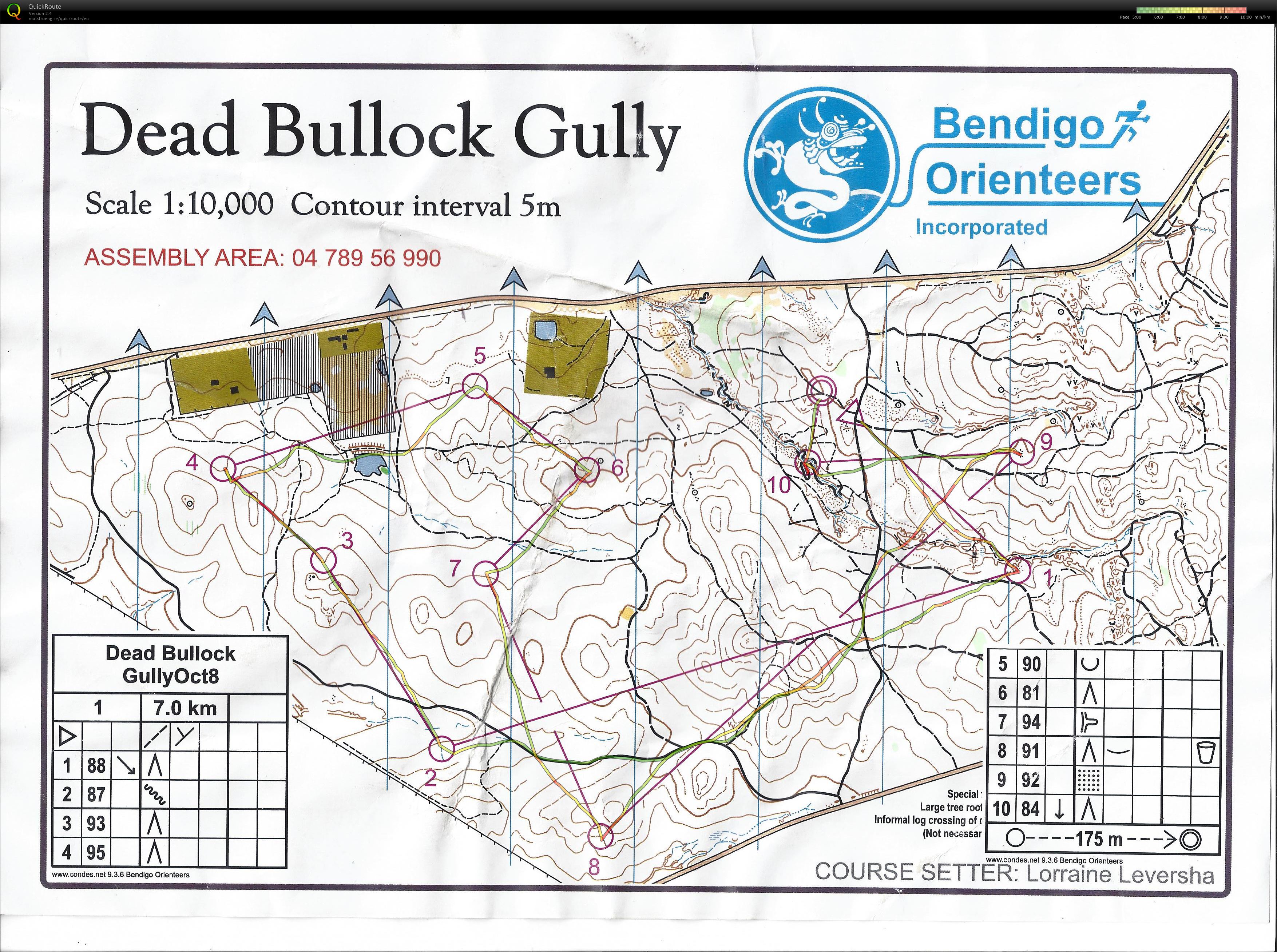 Bendigo Bush 22 Course 1 (08-10-2016)