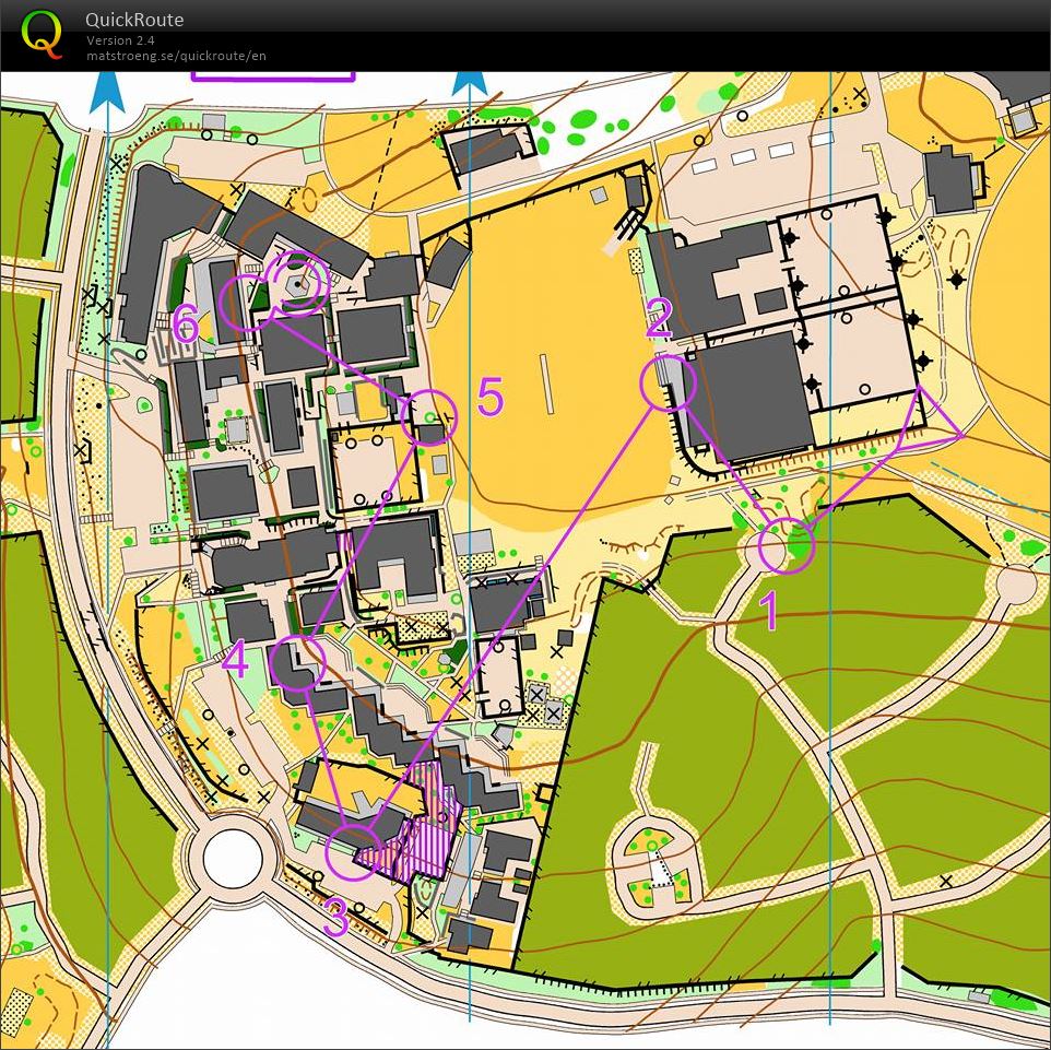 Sprintervals 1 (02-01-2017)