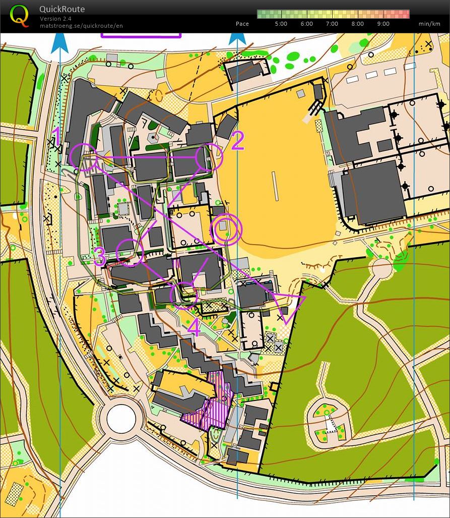 Sprintervals 3 (02-01-2017)