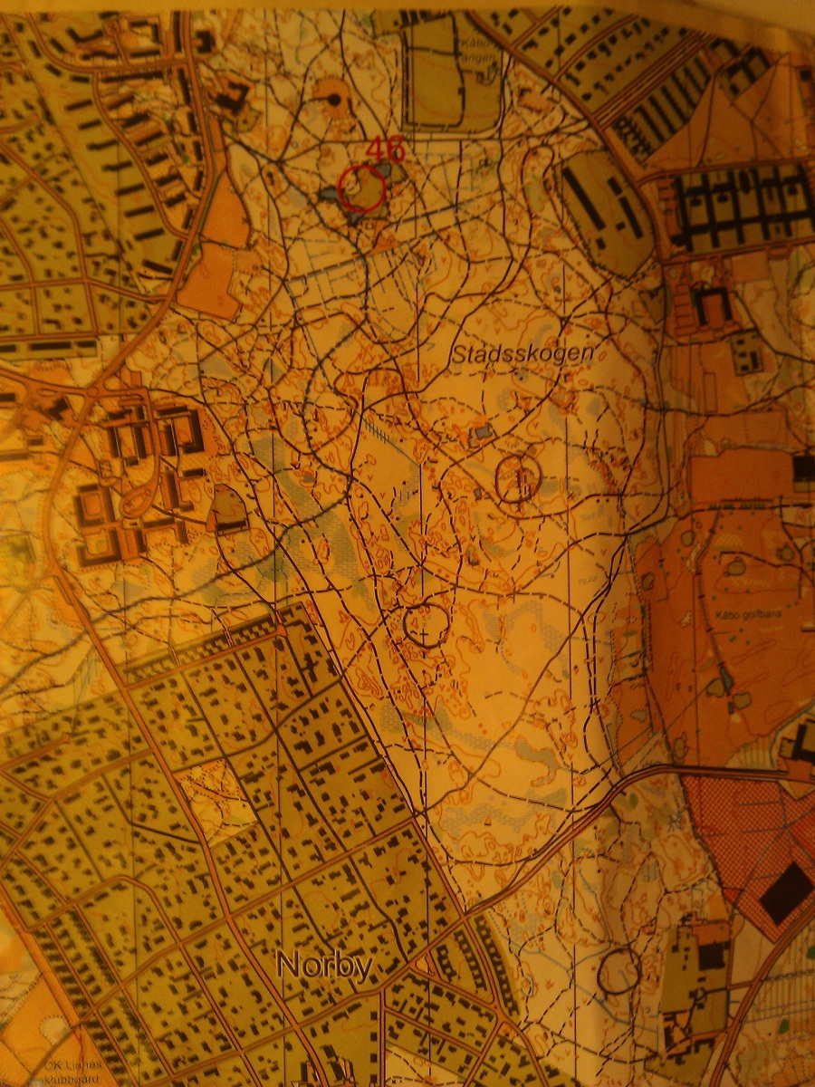 Uppsala Park with tracks (18.10.2012)