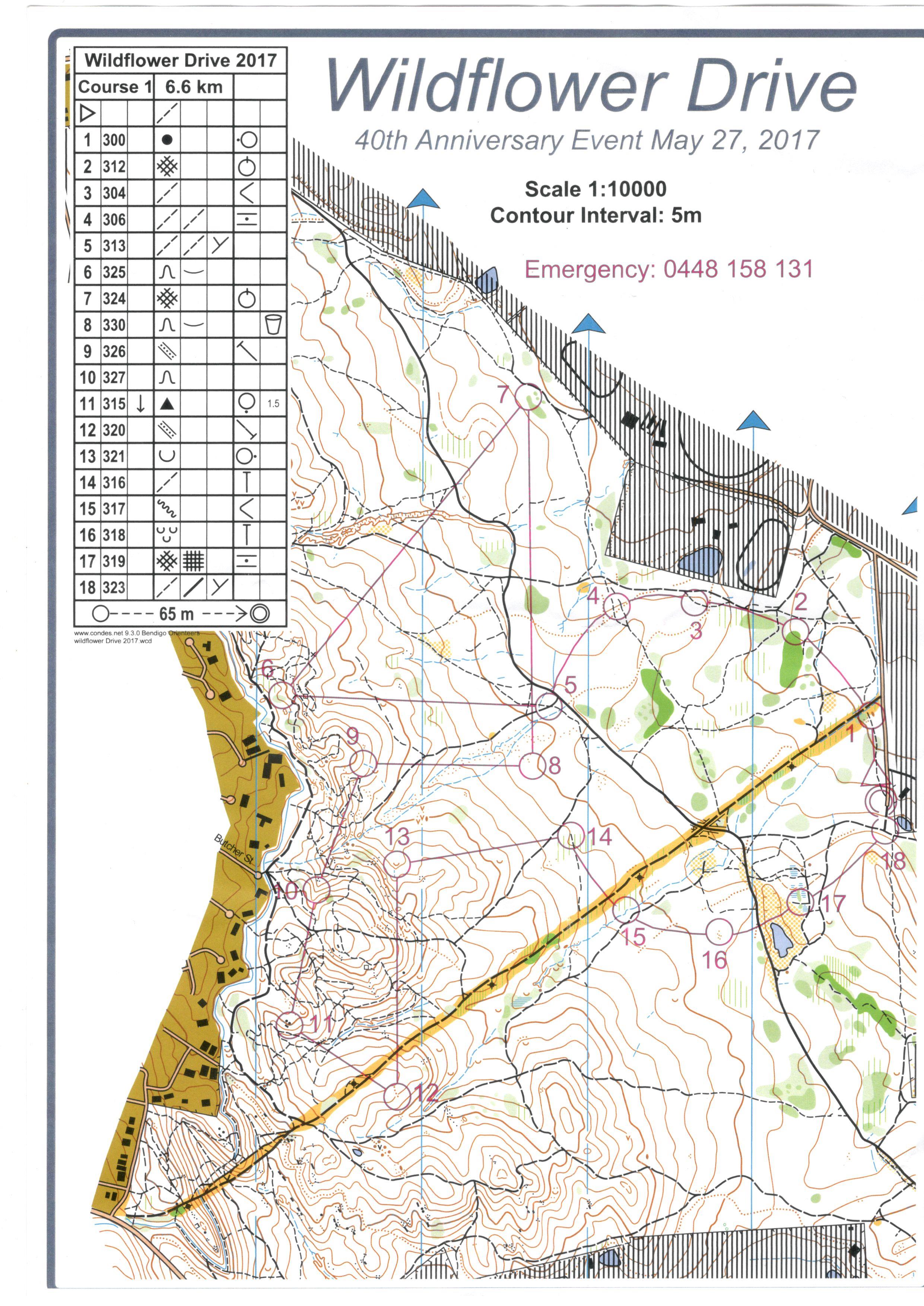 Bendigo 40th (27-05-2017)
