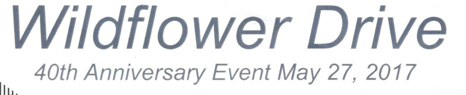 Bendigo 40th (27-05-2017)