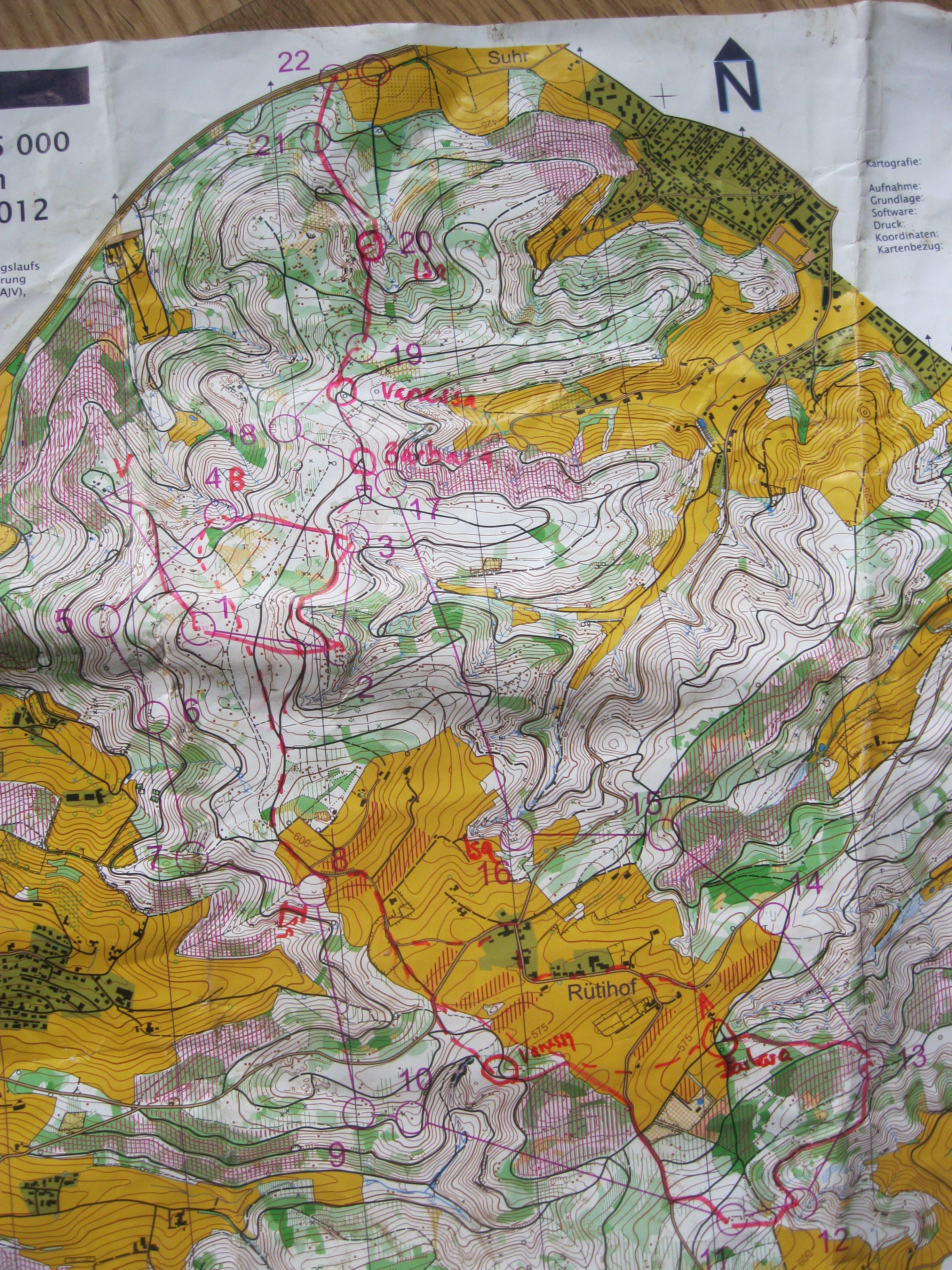 Swiss Team OL Champs (2012-11-04)