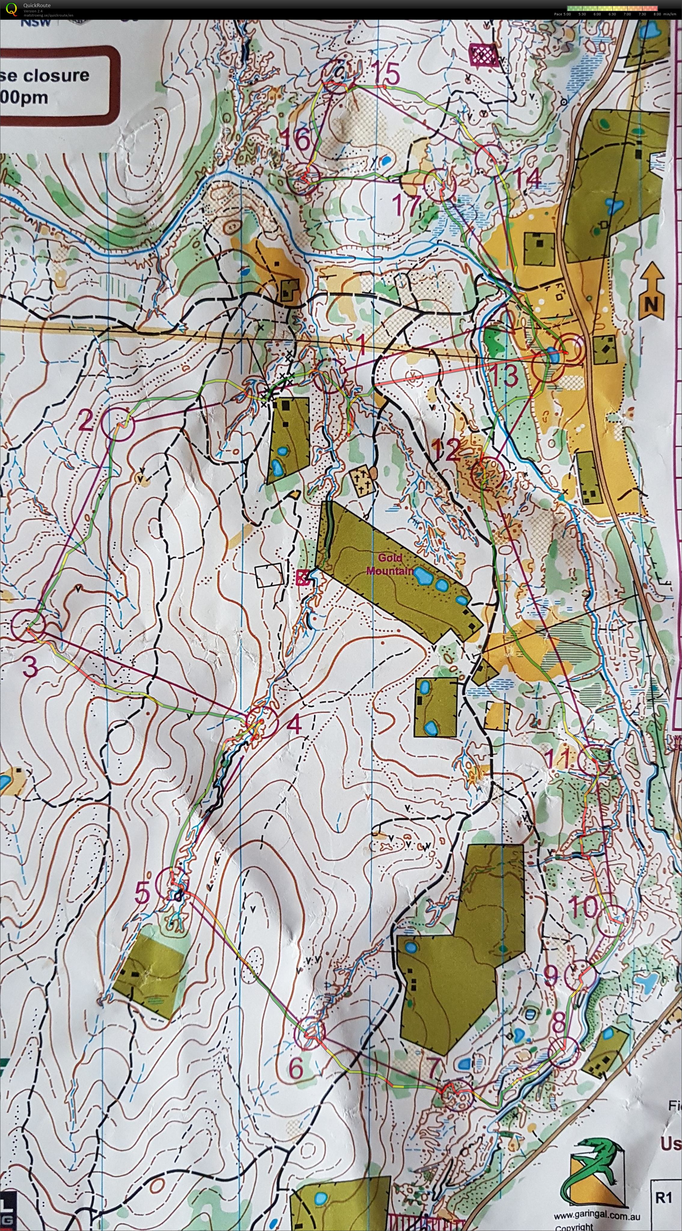 Australian relay champs (01/10/2017)