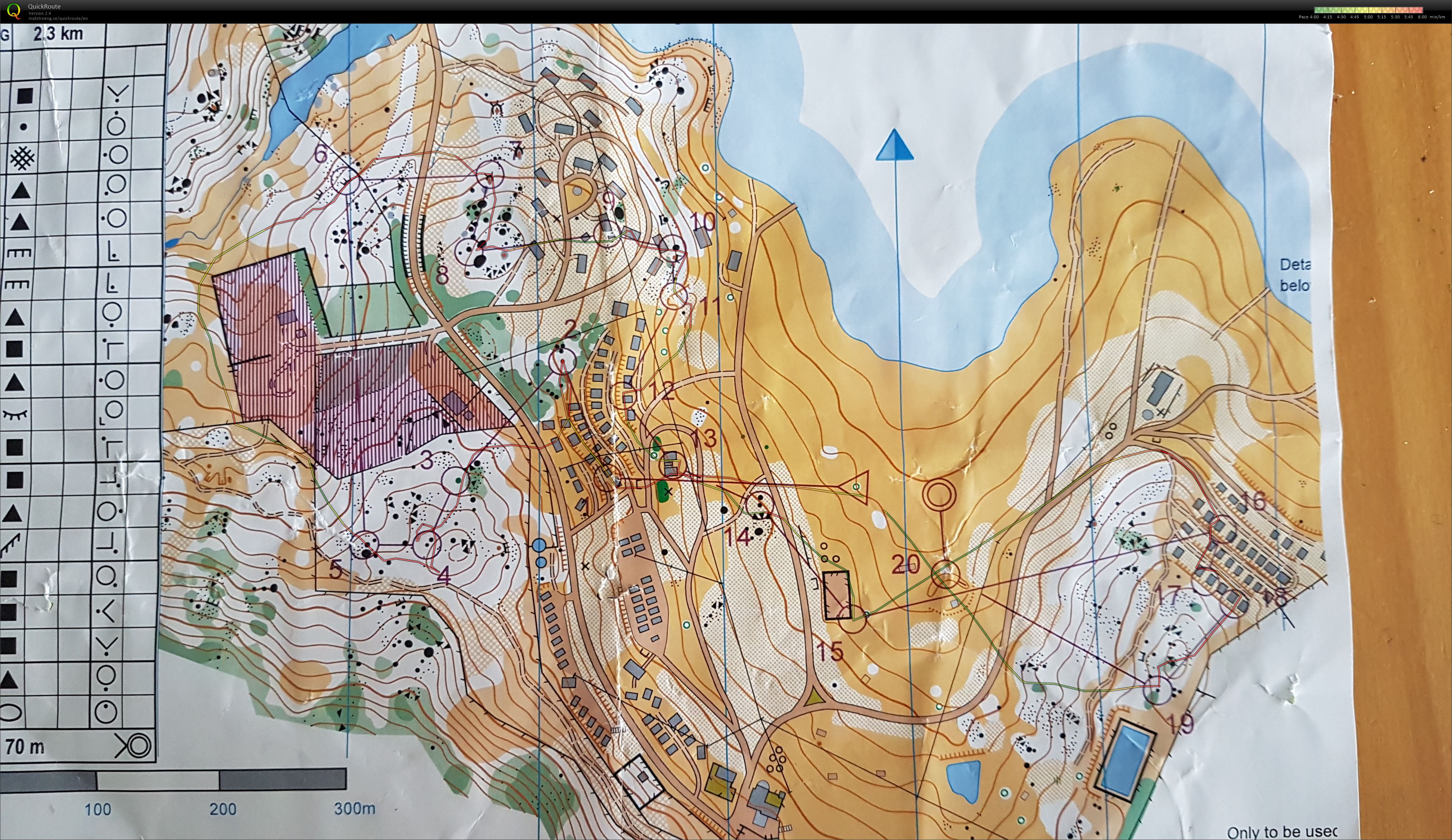 Sprint relay- Buckenderra  (16/12/2017)