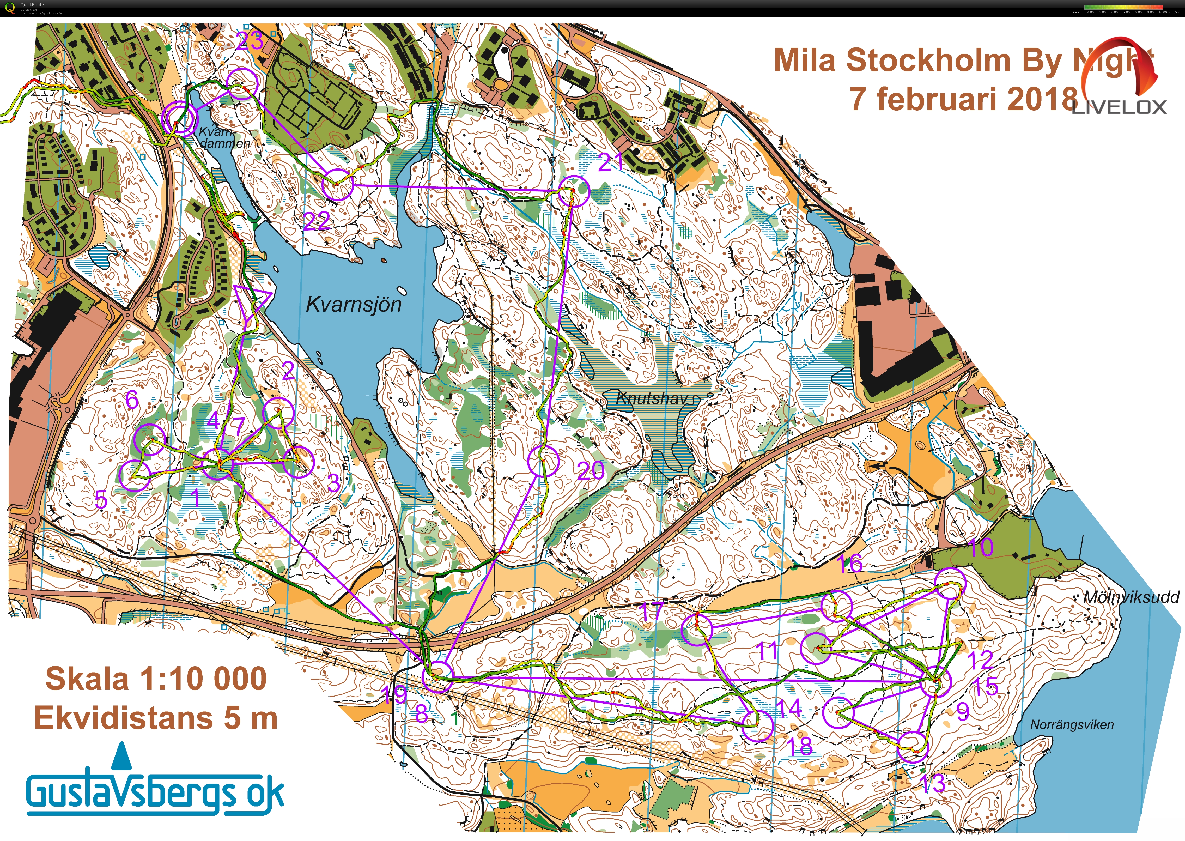 Mila by Night #4 (08.02.2018)