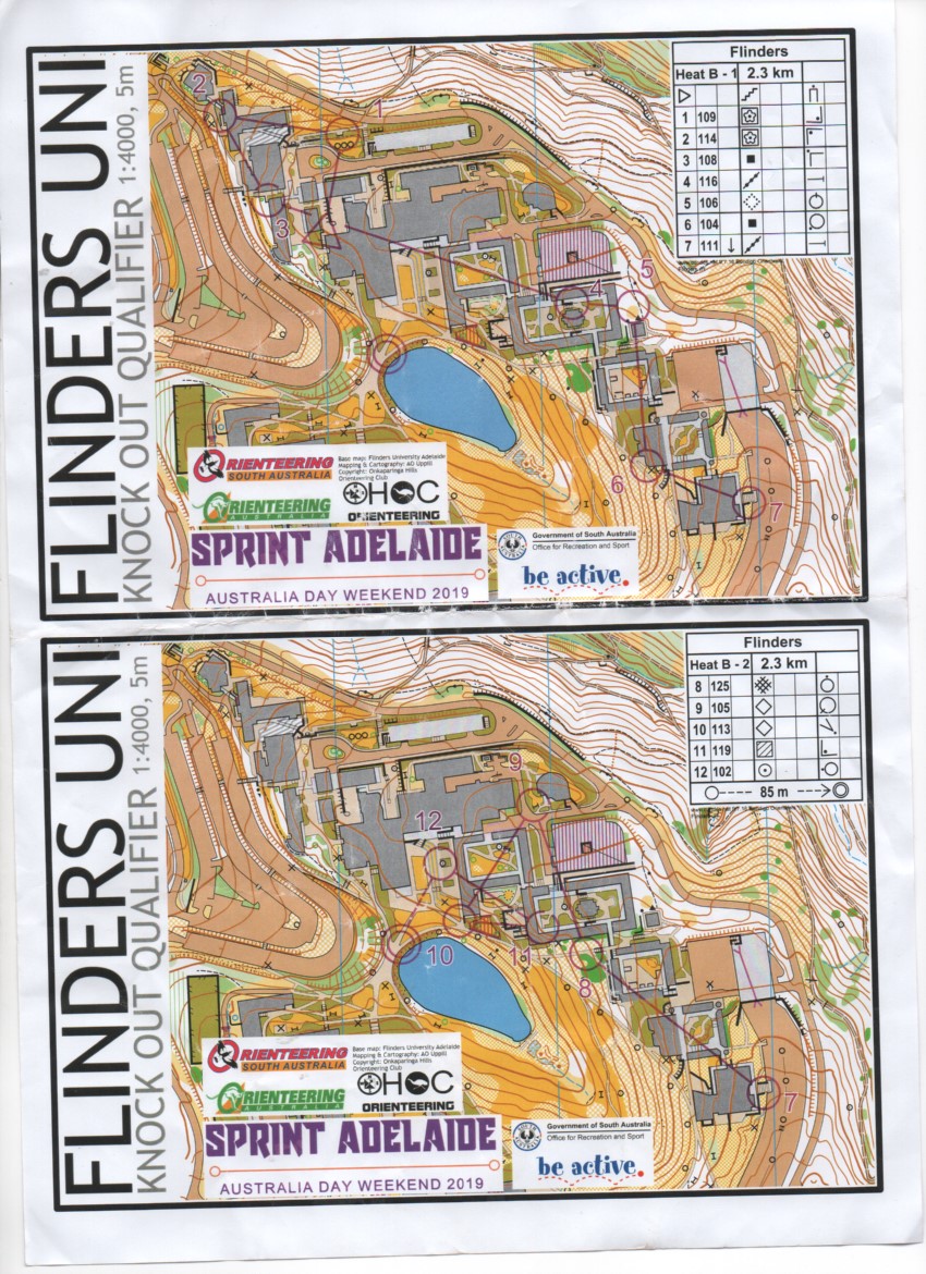 Sprint Adelaide race 4.1 (2019-02-06)