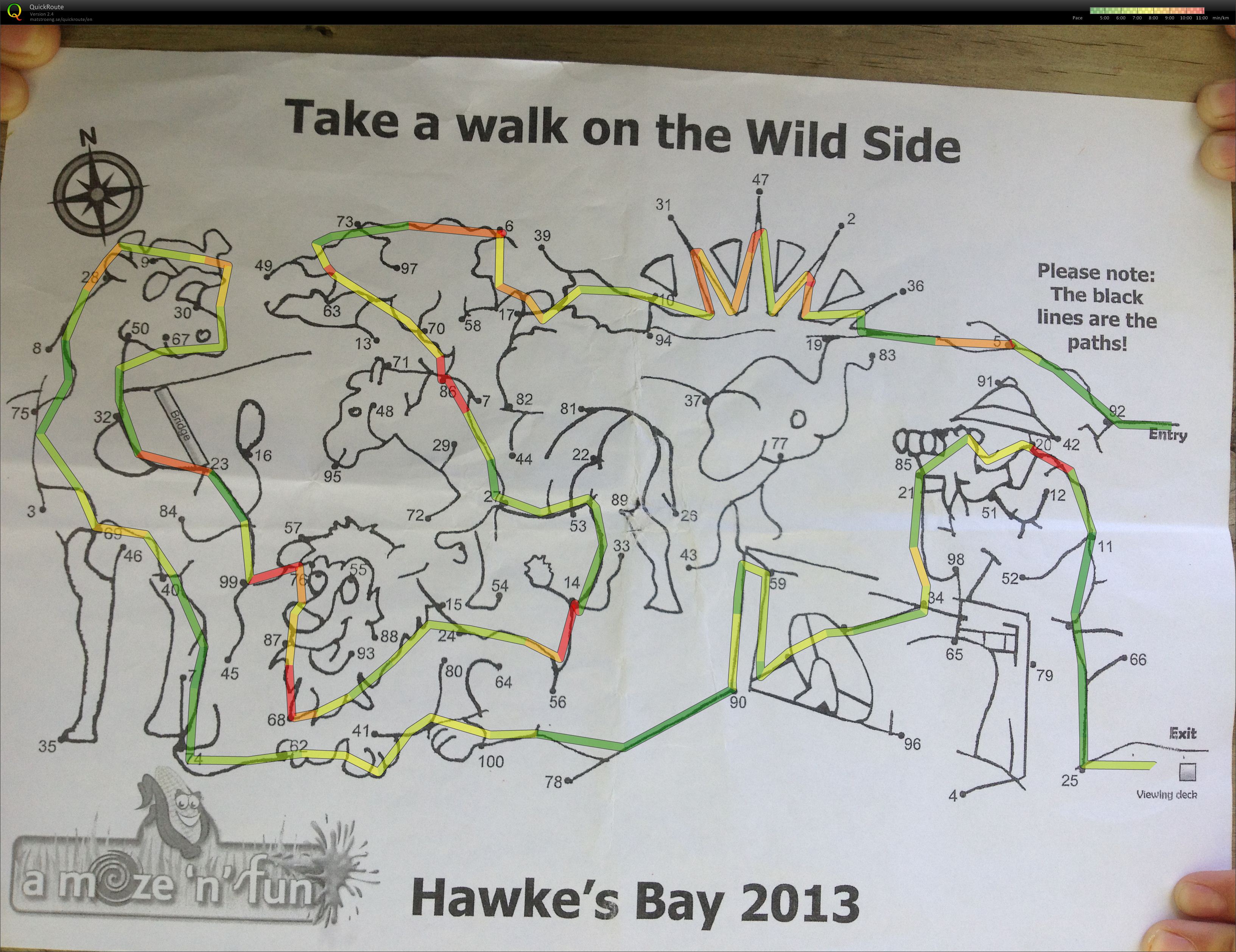 Amazing Maze 'n Maize  (11.01.2013)