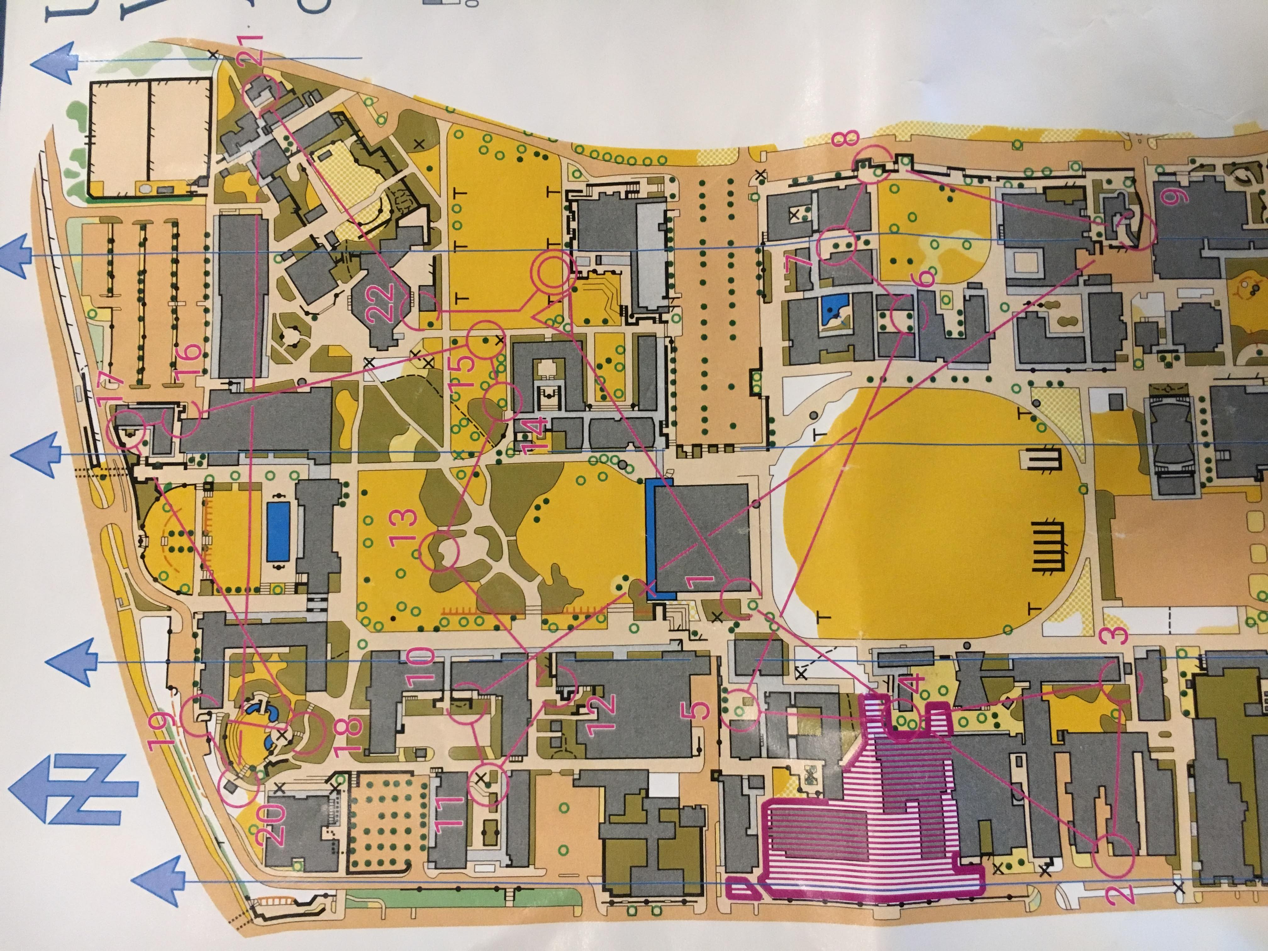 2019 NOL Mixed Sprint Relay (19/04/2019)