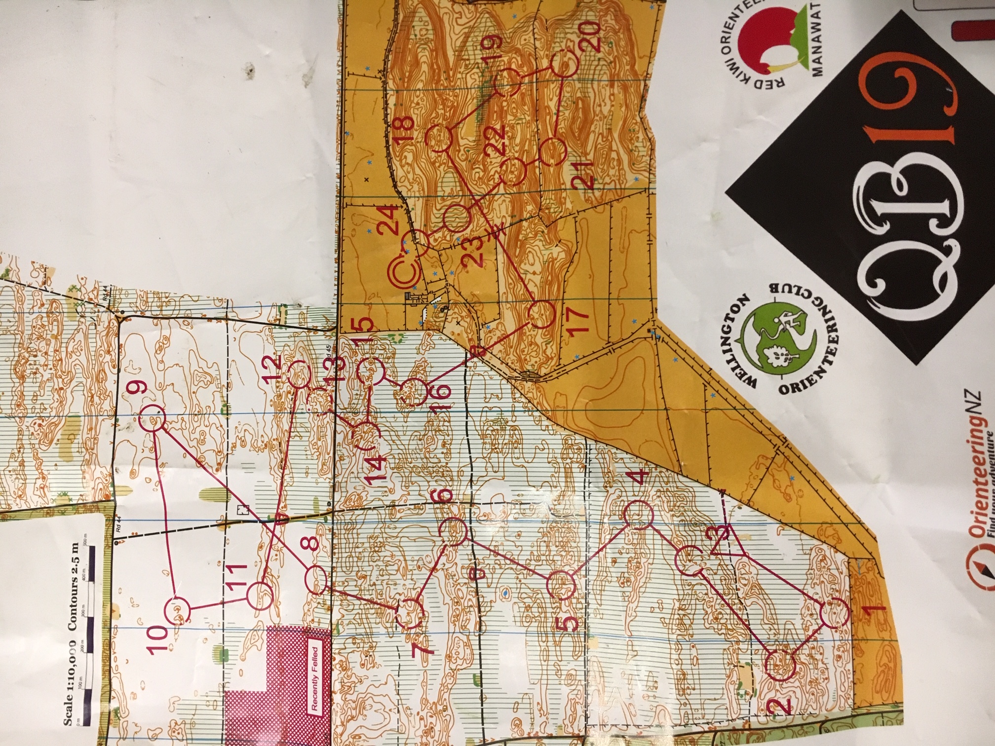 NZ Queen's Birthday Day 1 (01/06/2019)