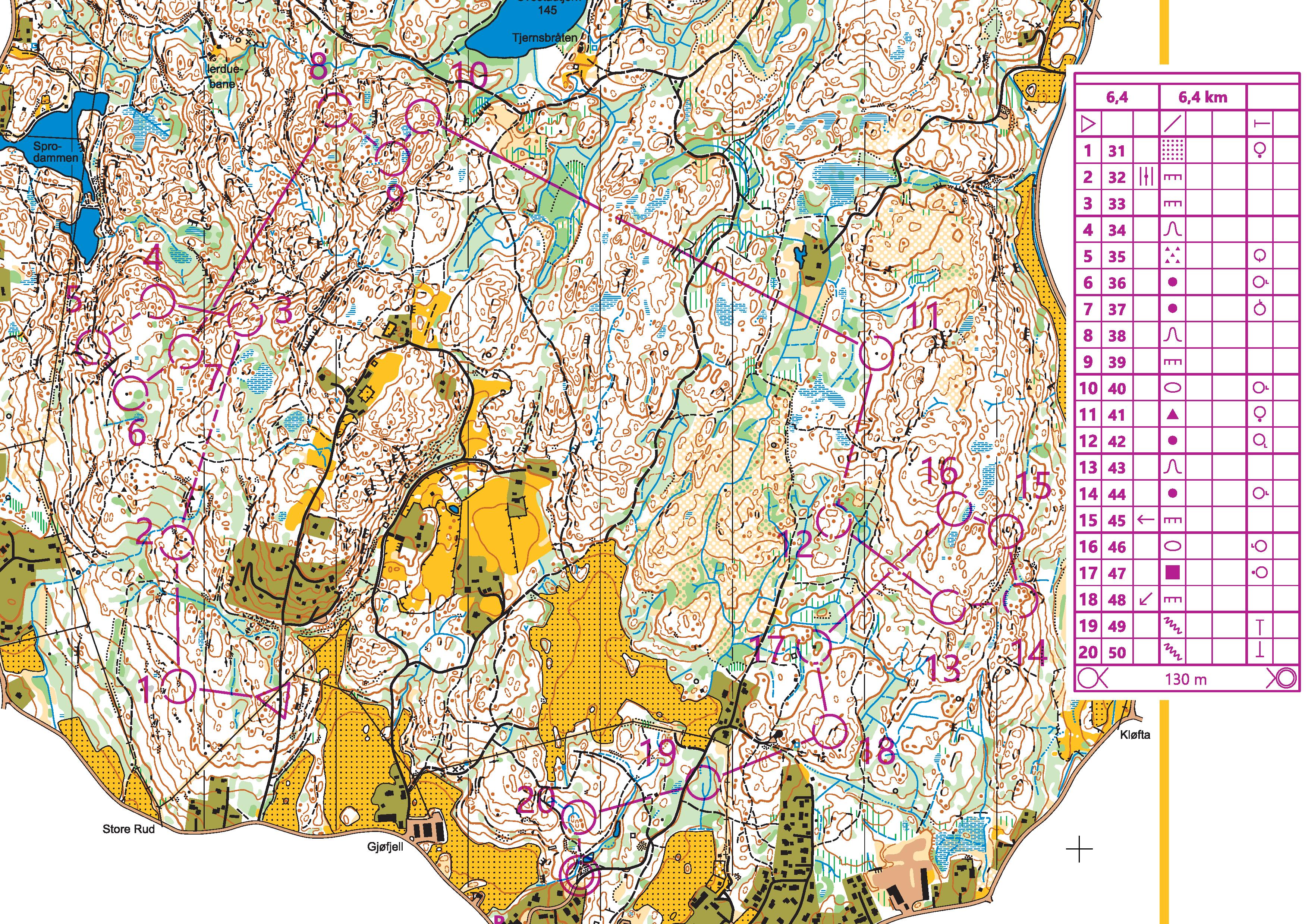 Svestadtjern middle distance (2019-06-28)