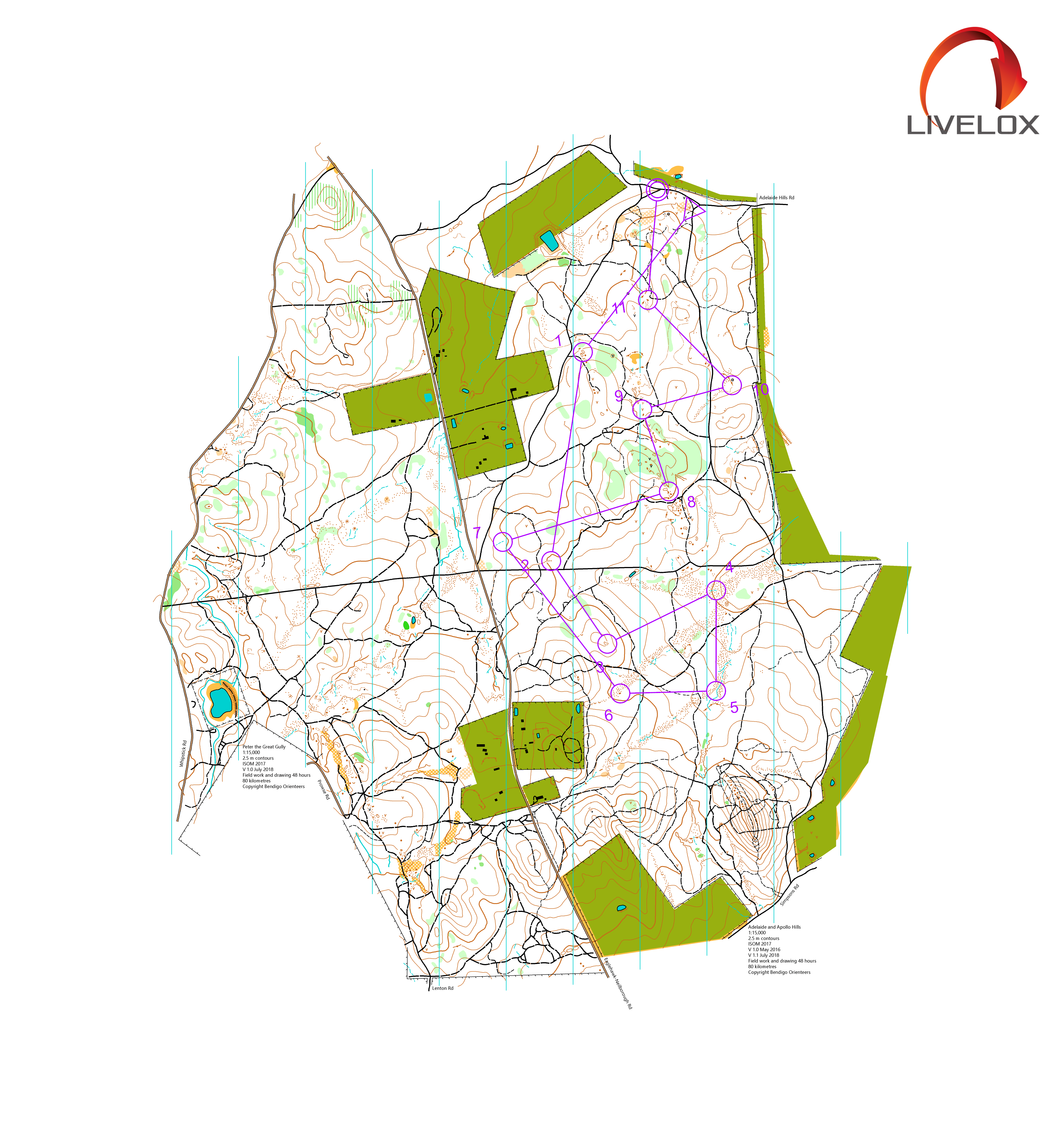 Bendigo Bush Classic 8 (29-06-2019)