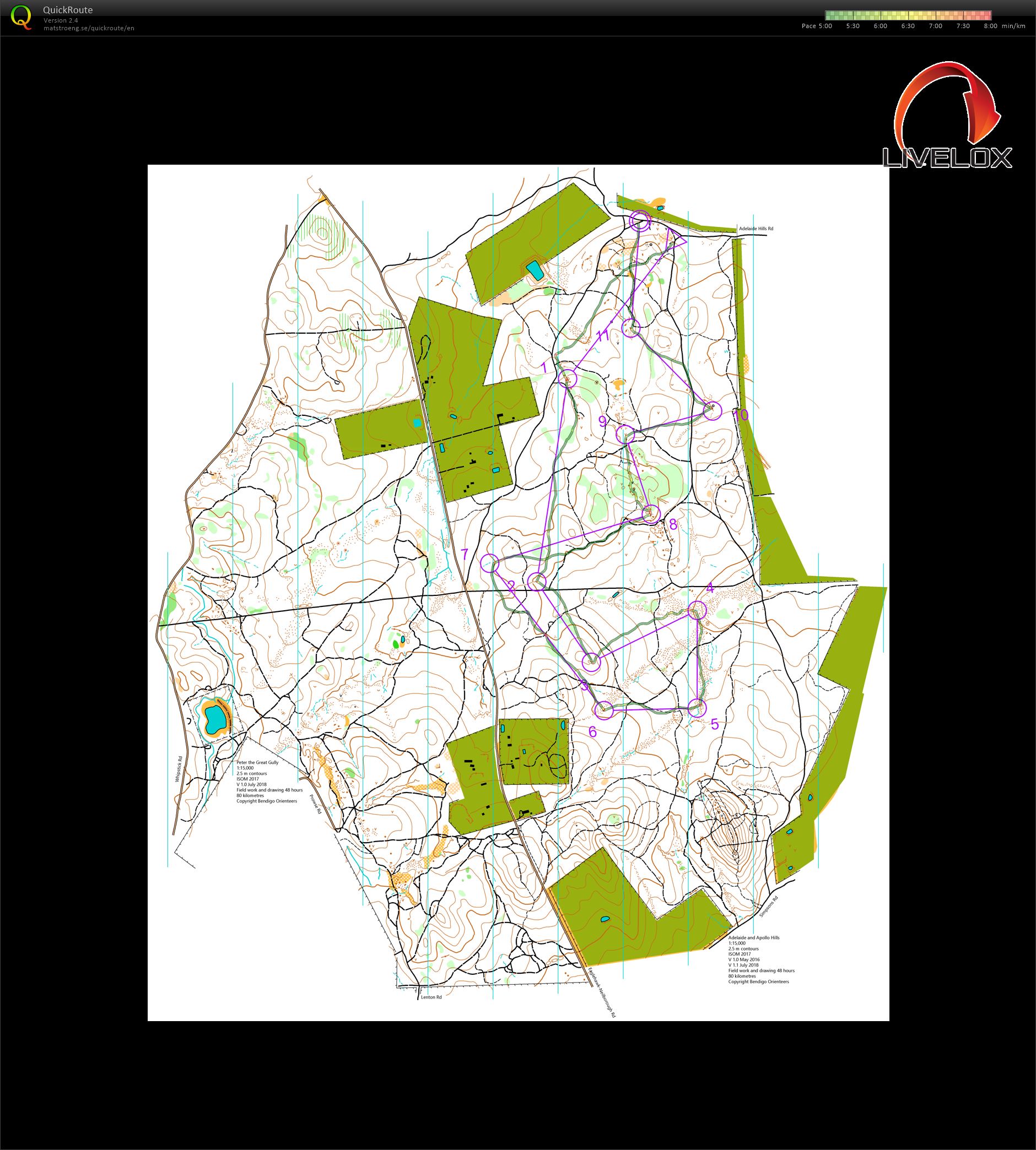 Bendigo Bush Classic 8 (29-06-2019)