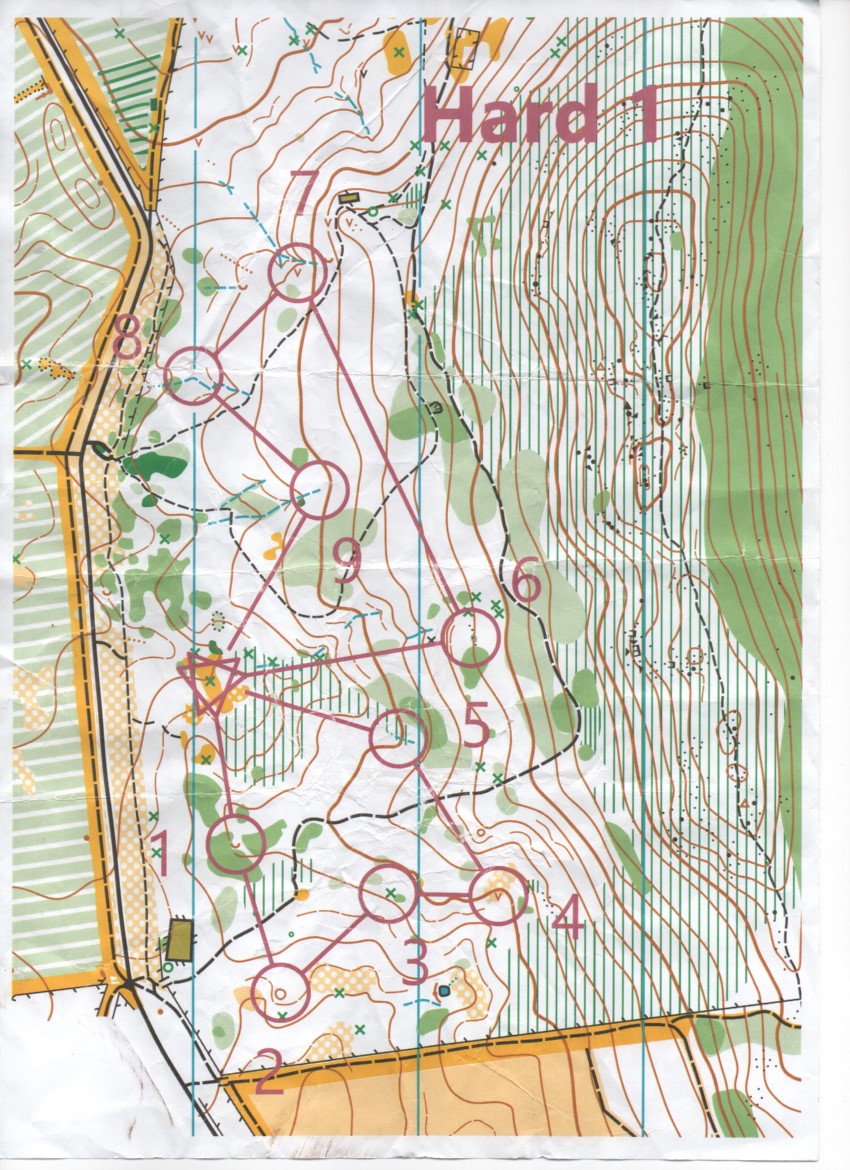 Star Relay (10-07-2019)