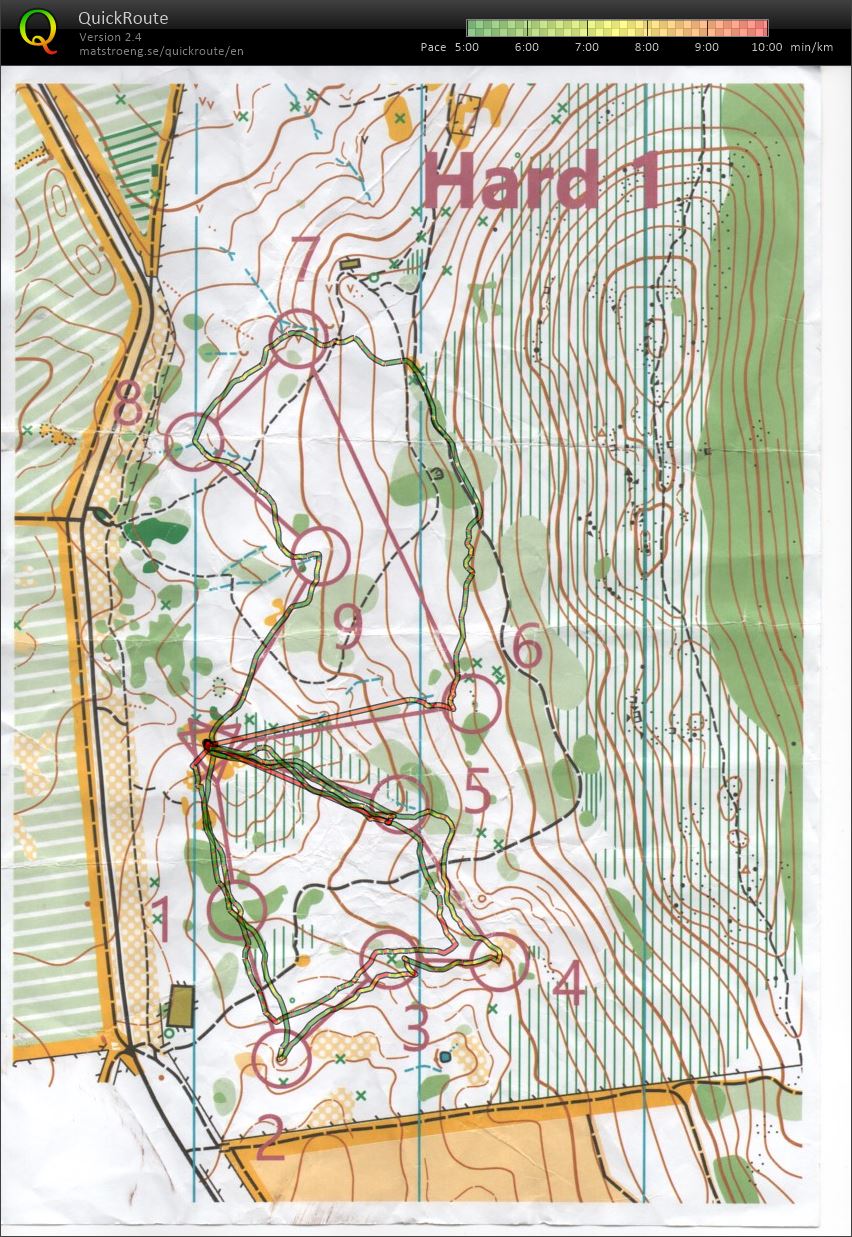 Star Relay (10-07-2019)