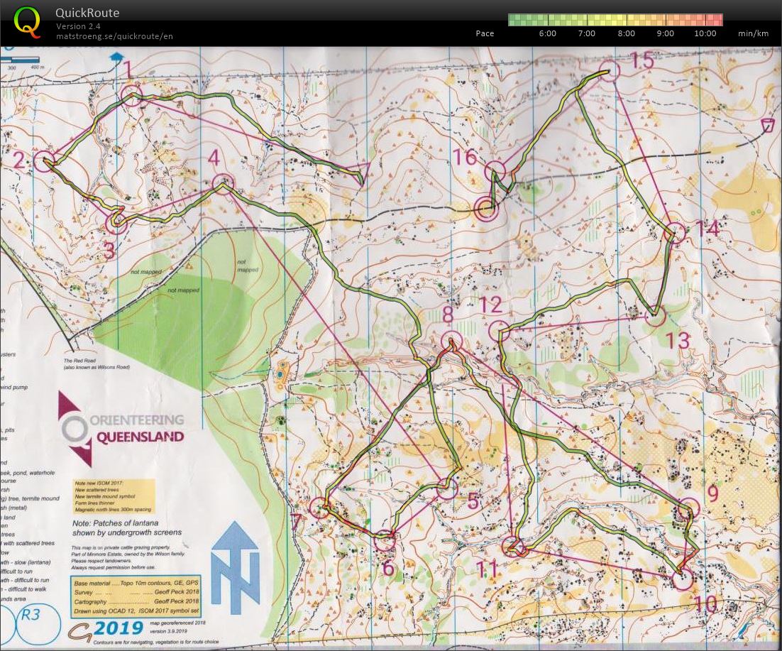 State Champs 2019 D1 (08.09.2019)