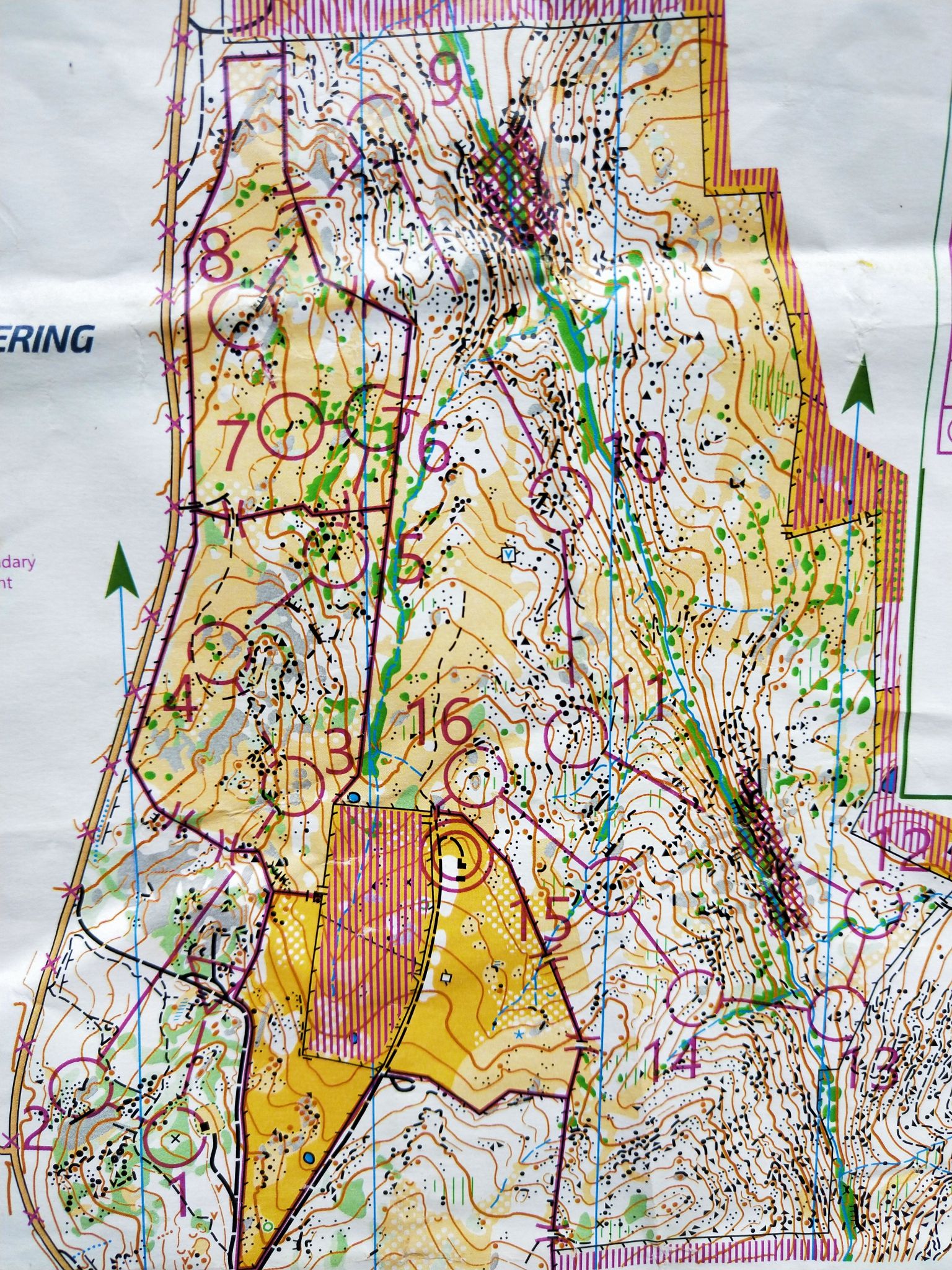 Oceania Middle Distance Championships (06/10/2019)
