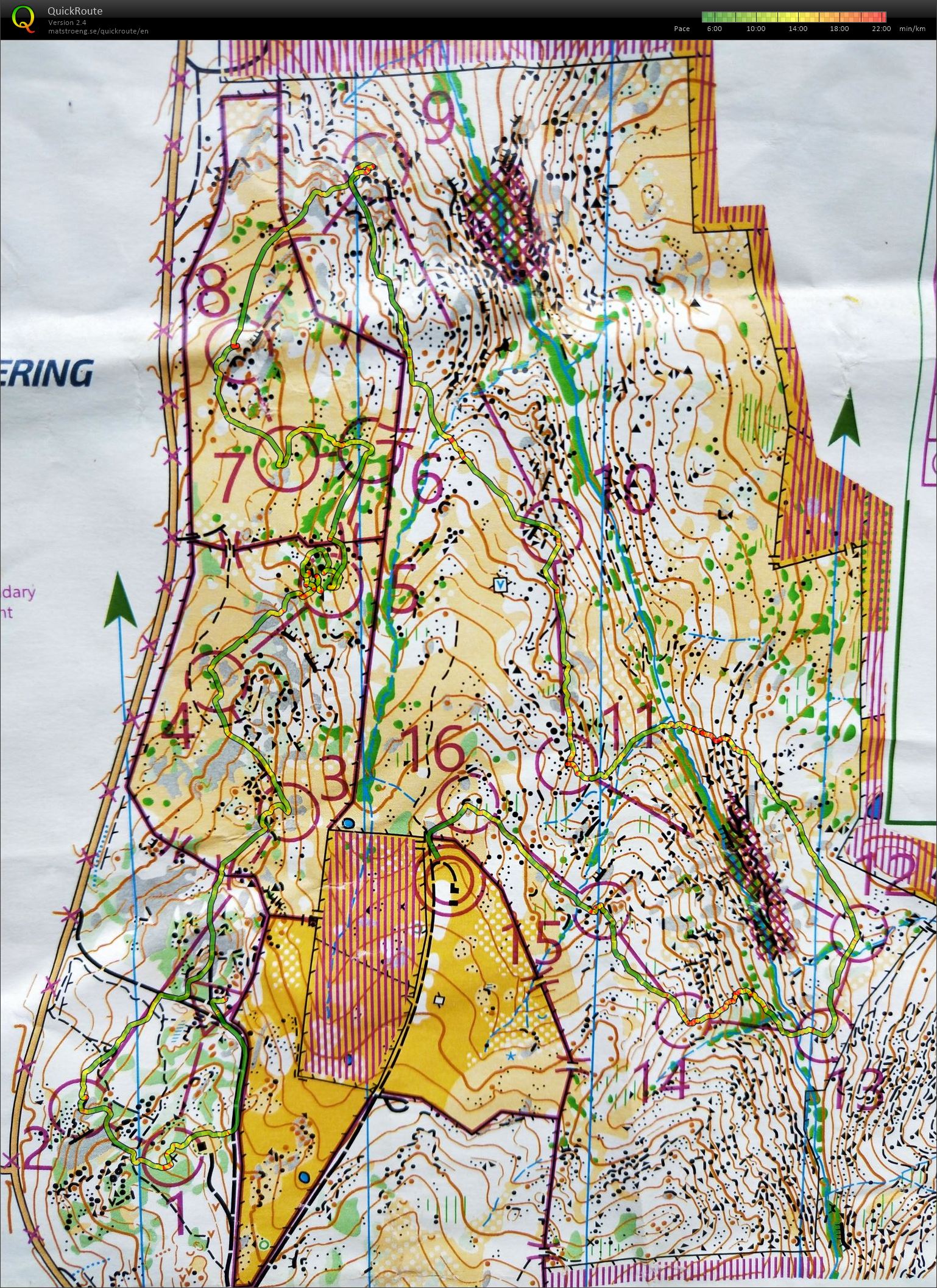Oceania Middle Distance Championships (06/10/2019)