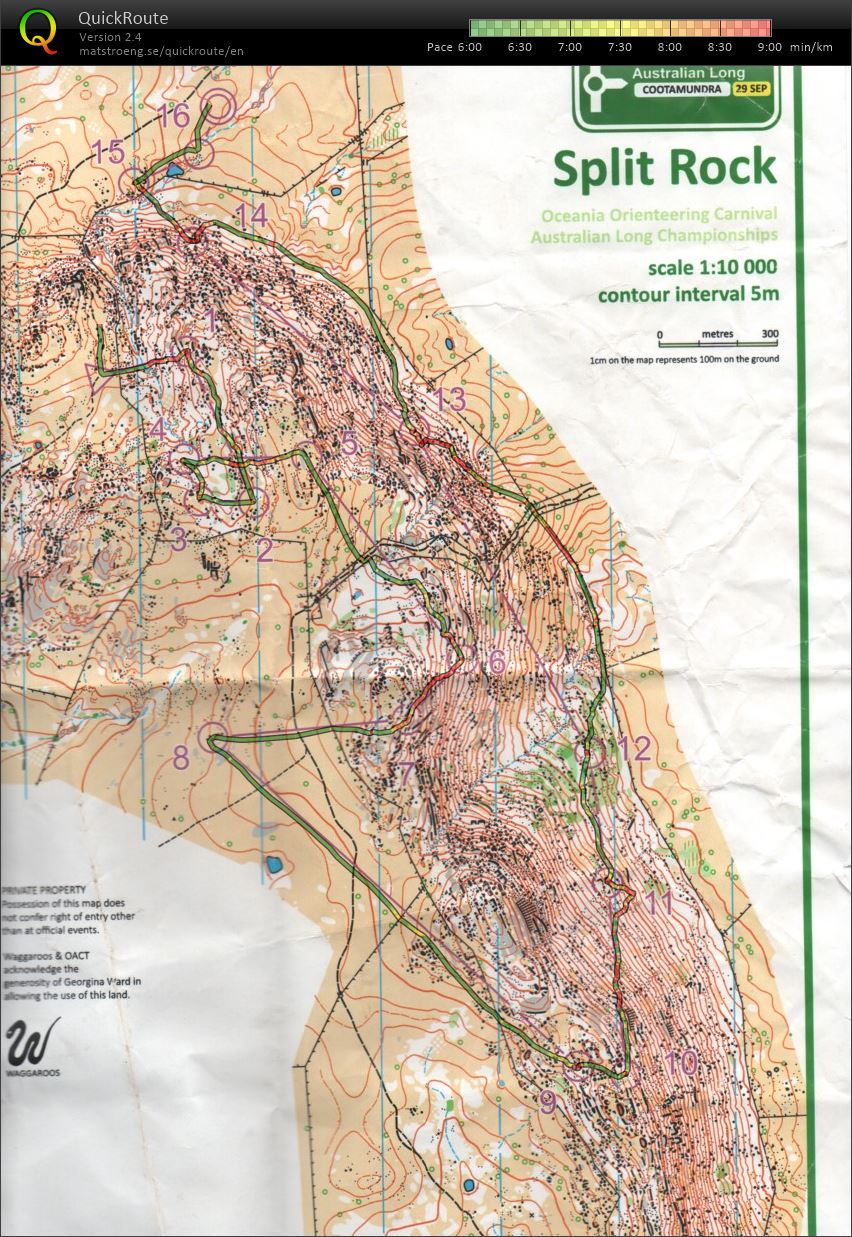 2019 Australian Championships Long Distance (29/09/2019)