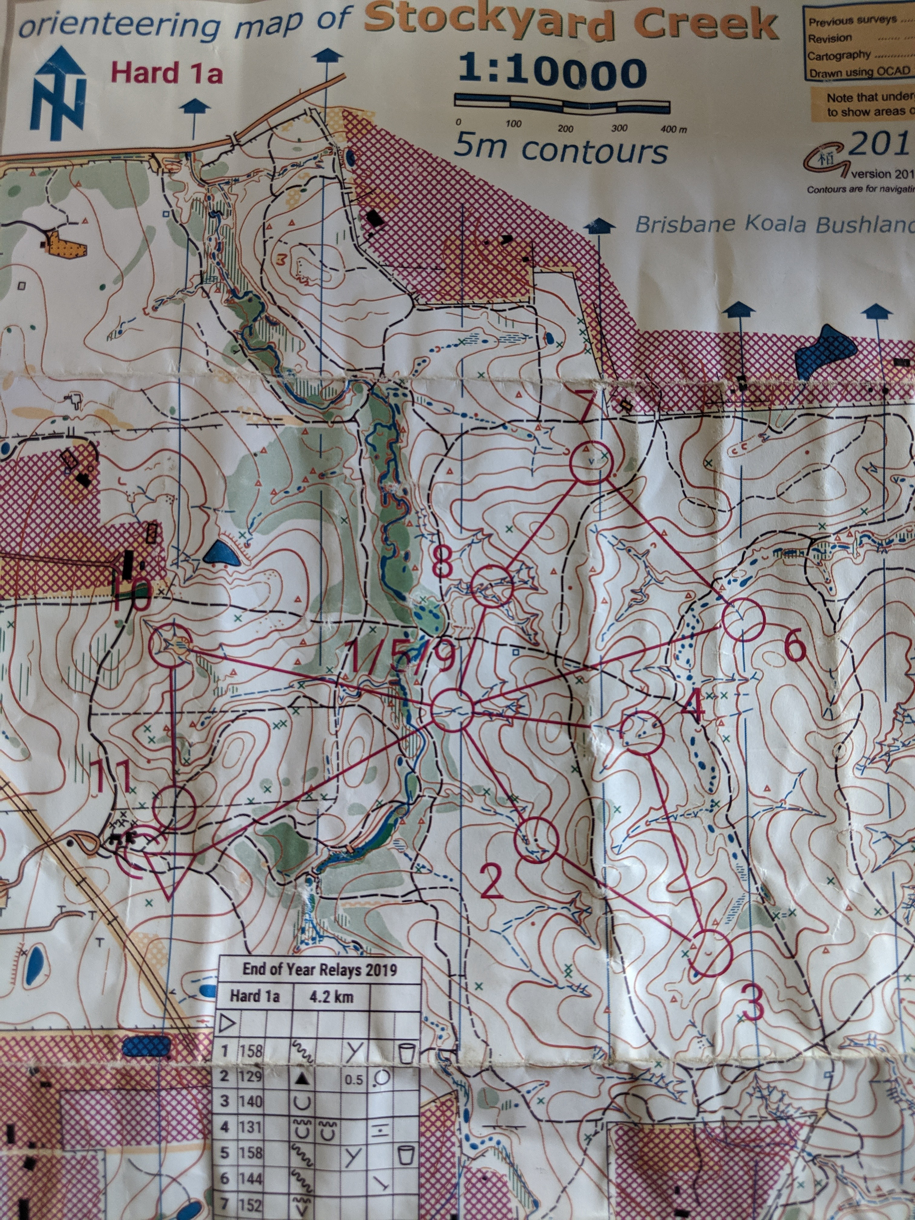 QLD Club Relay Champs (24/11/2019)