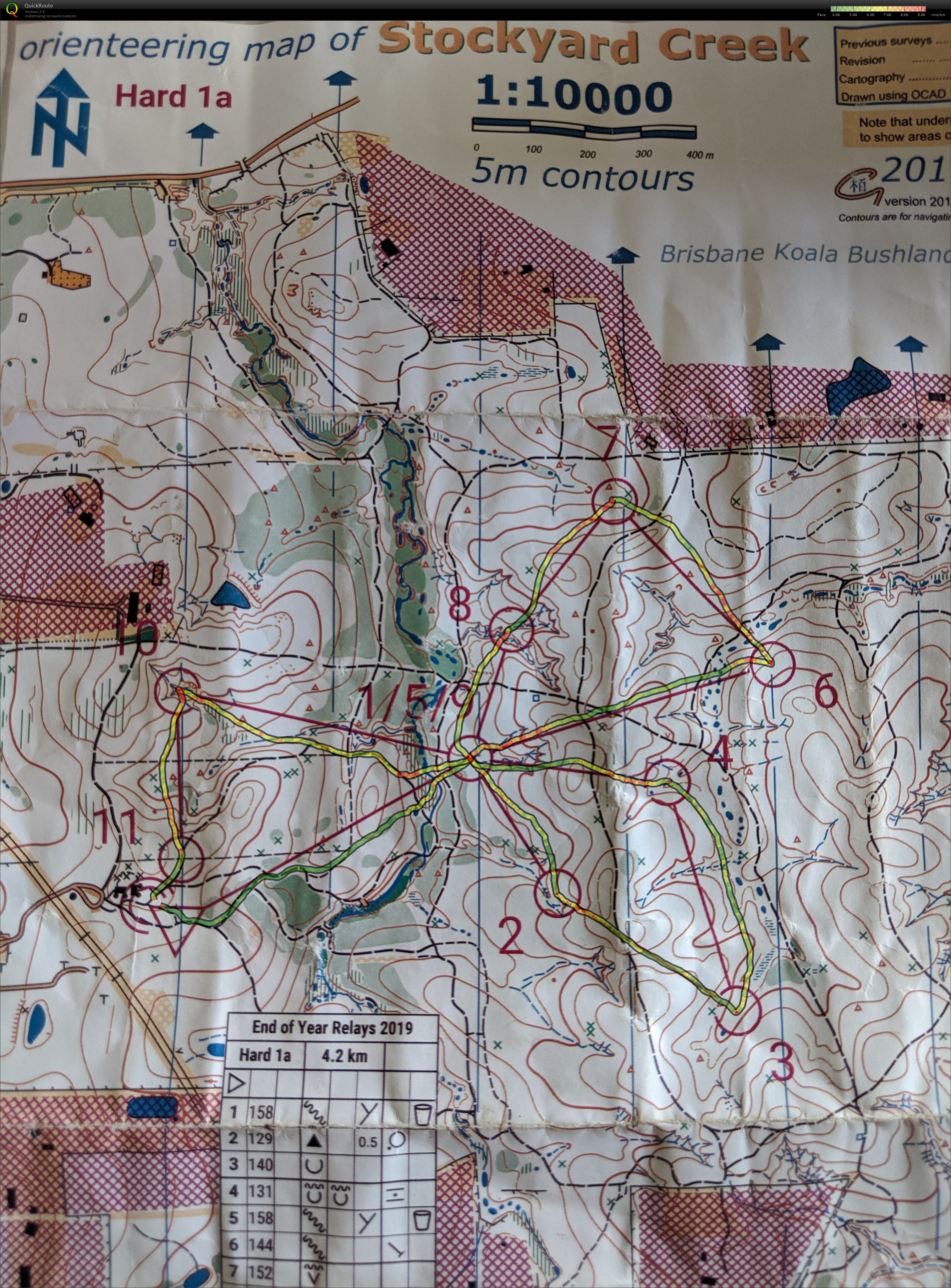 QLD Club Relay Champs (24/11/2019)