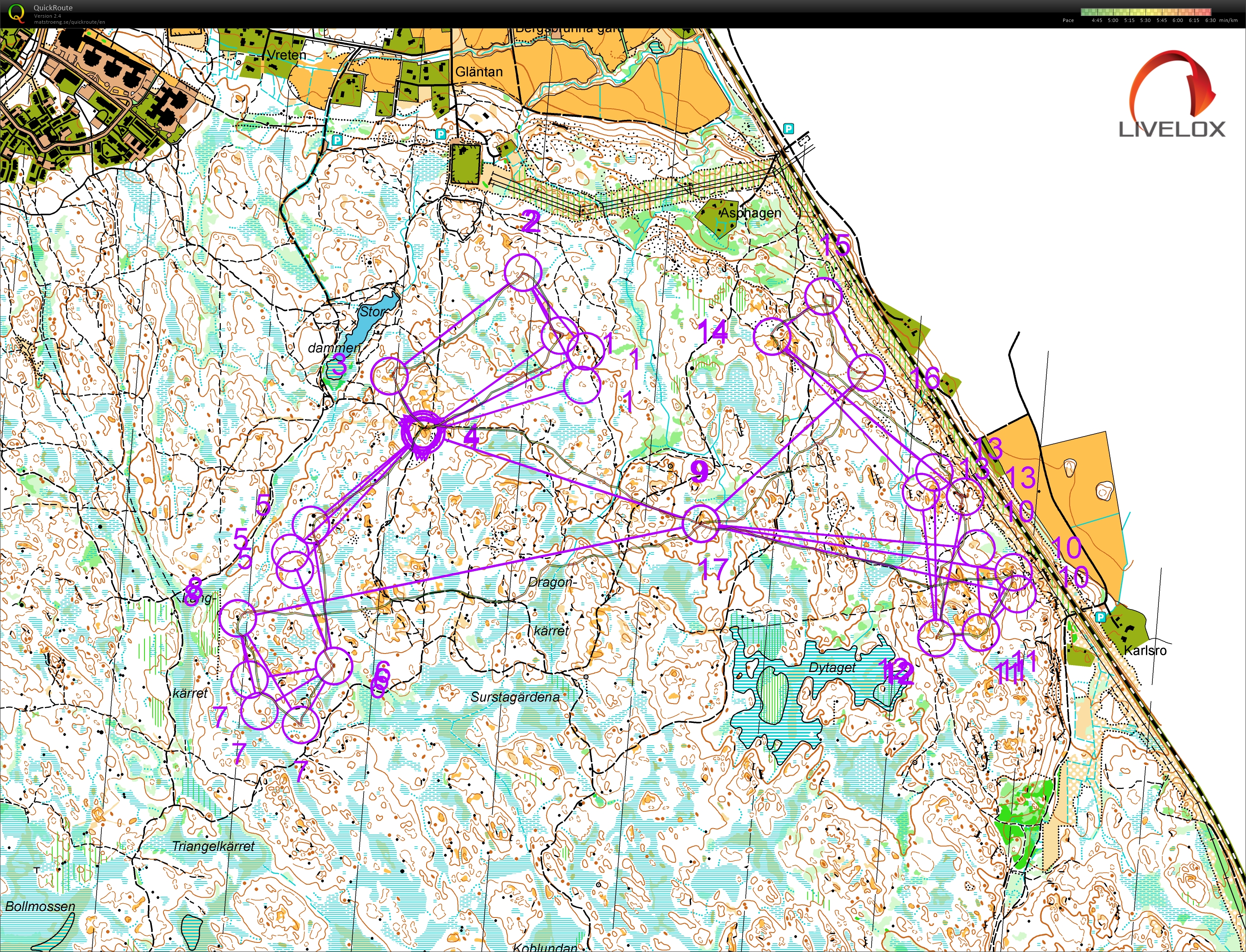 Relay training (08.02.2020)