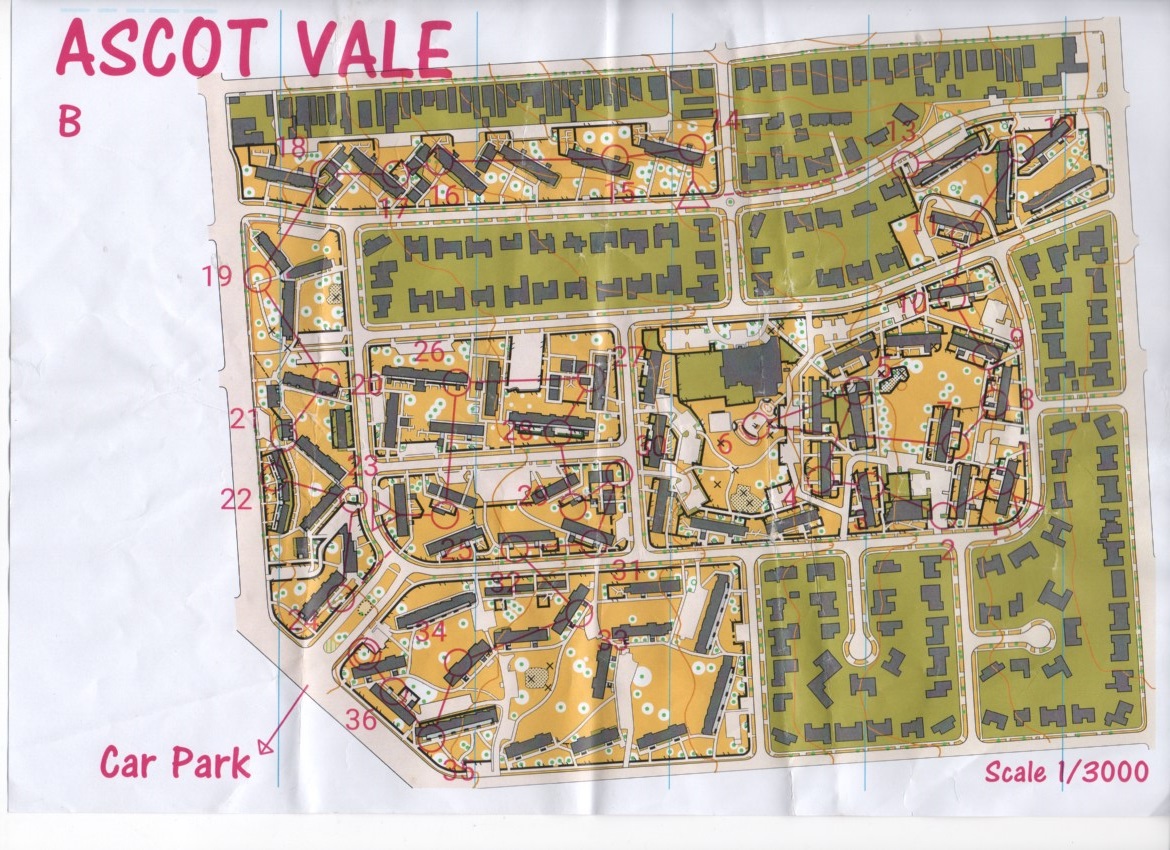 MSW training (01.03.2020)