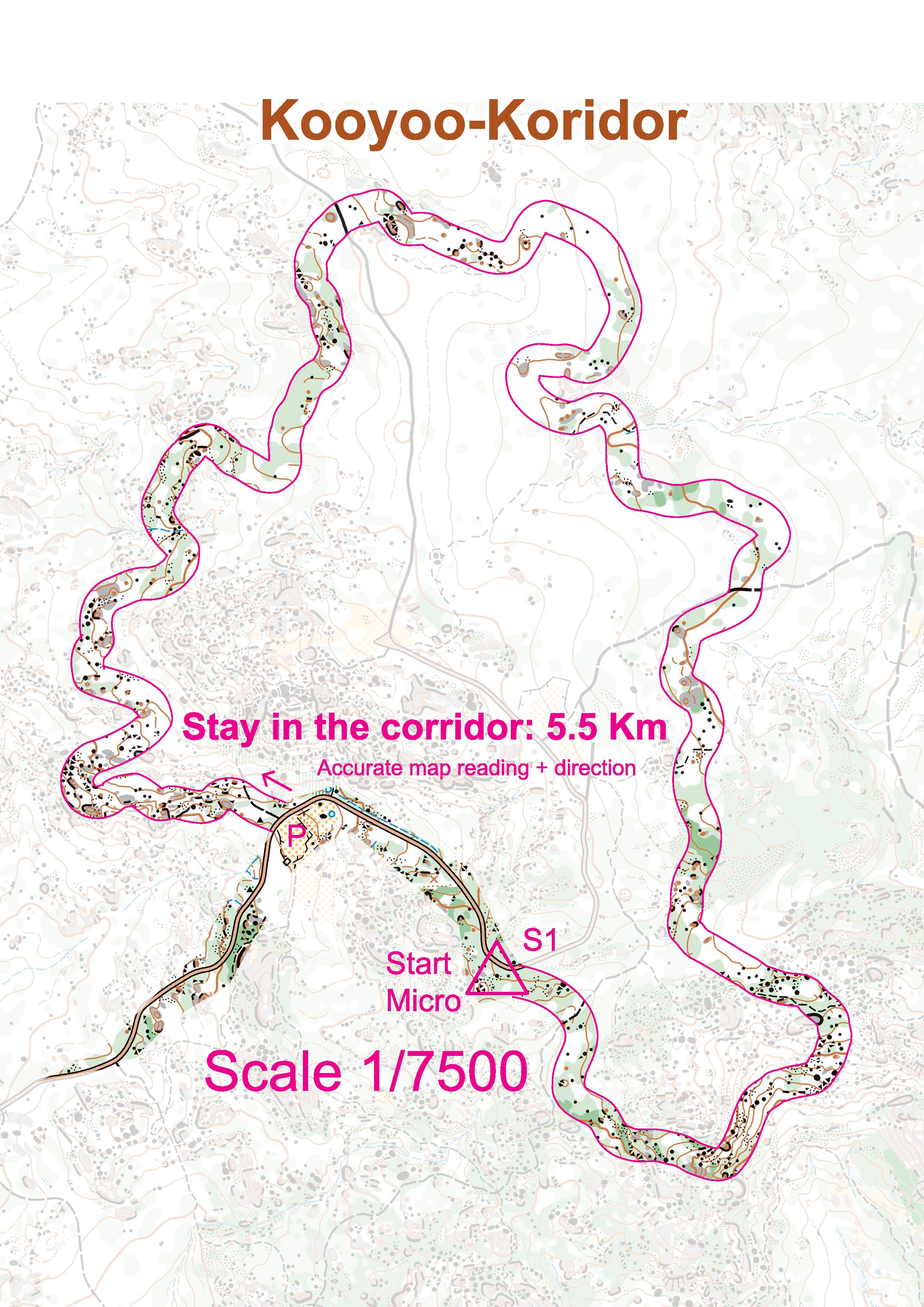 Corridor (22-03-2020)