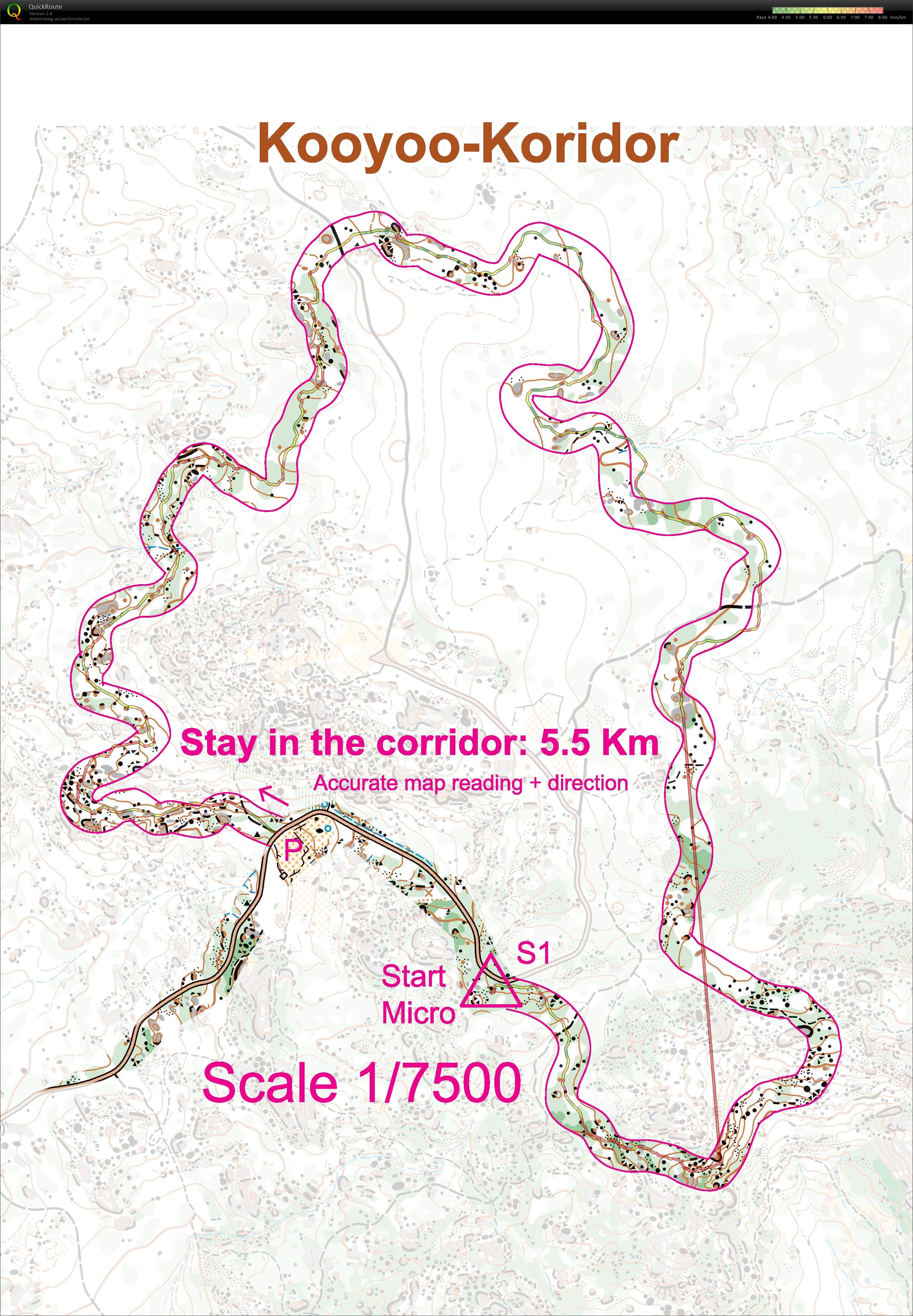 Corridor (22-03-2020)