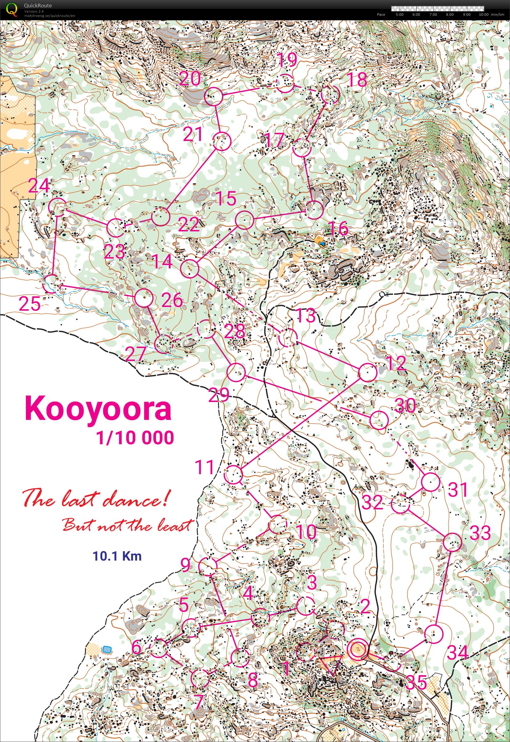 The Last Dance - Kooyoora in the fog! (08.07.2020)