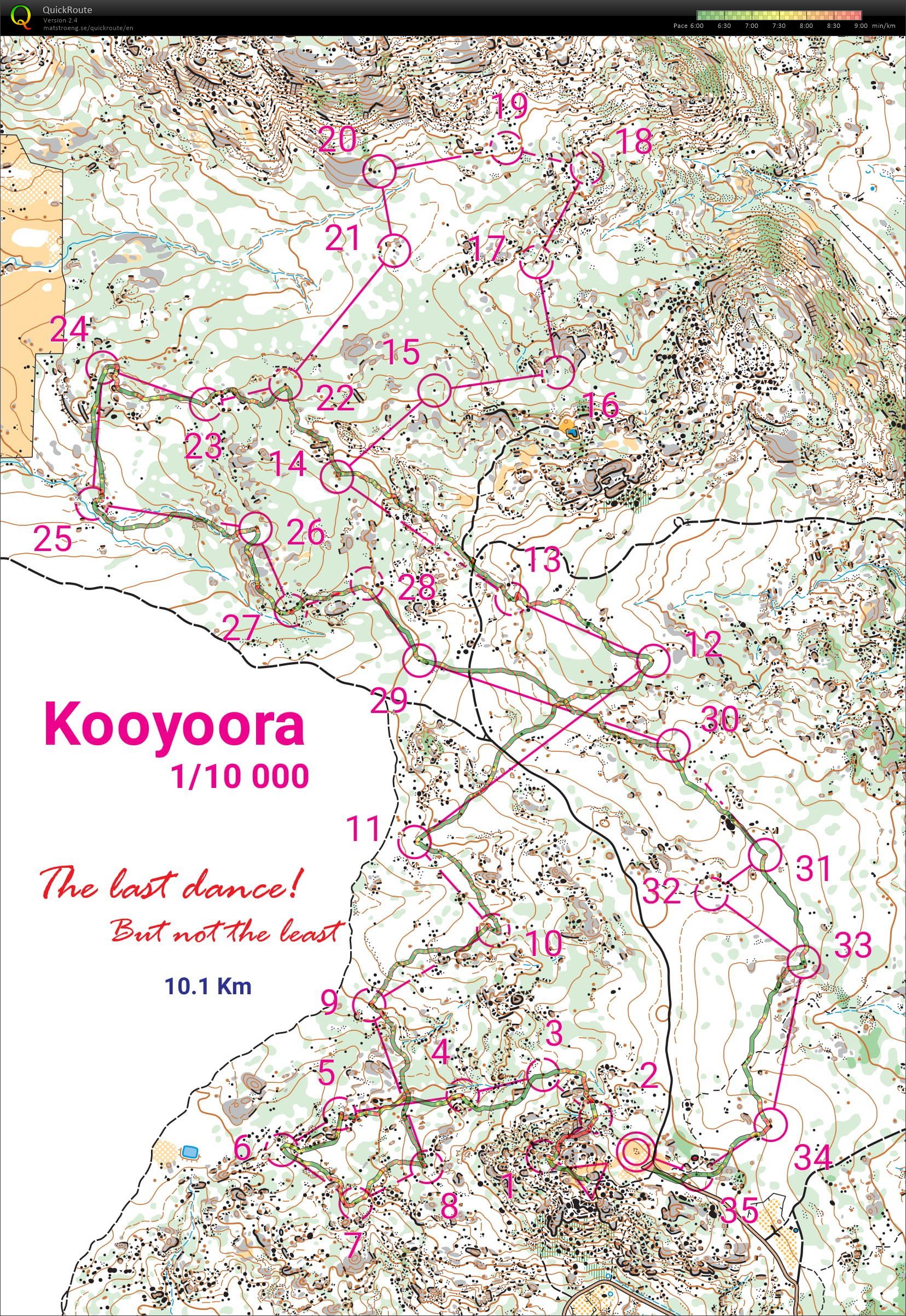 The Last Dance - Kooyoora in the fog! (08.07.2020)