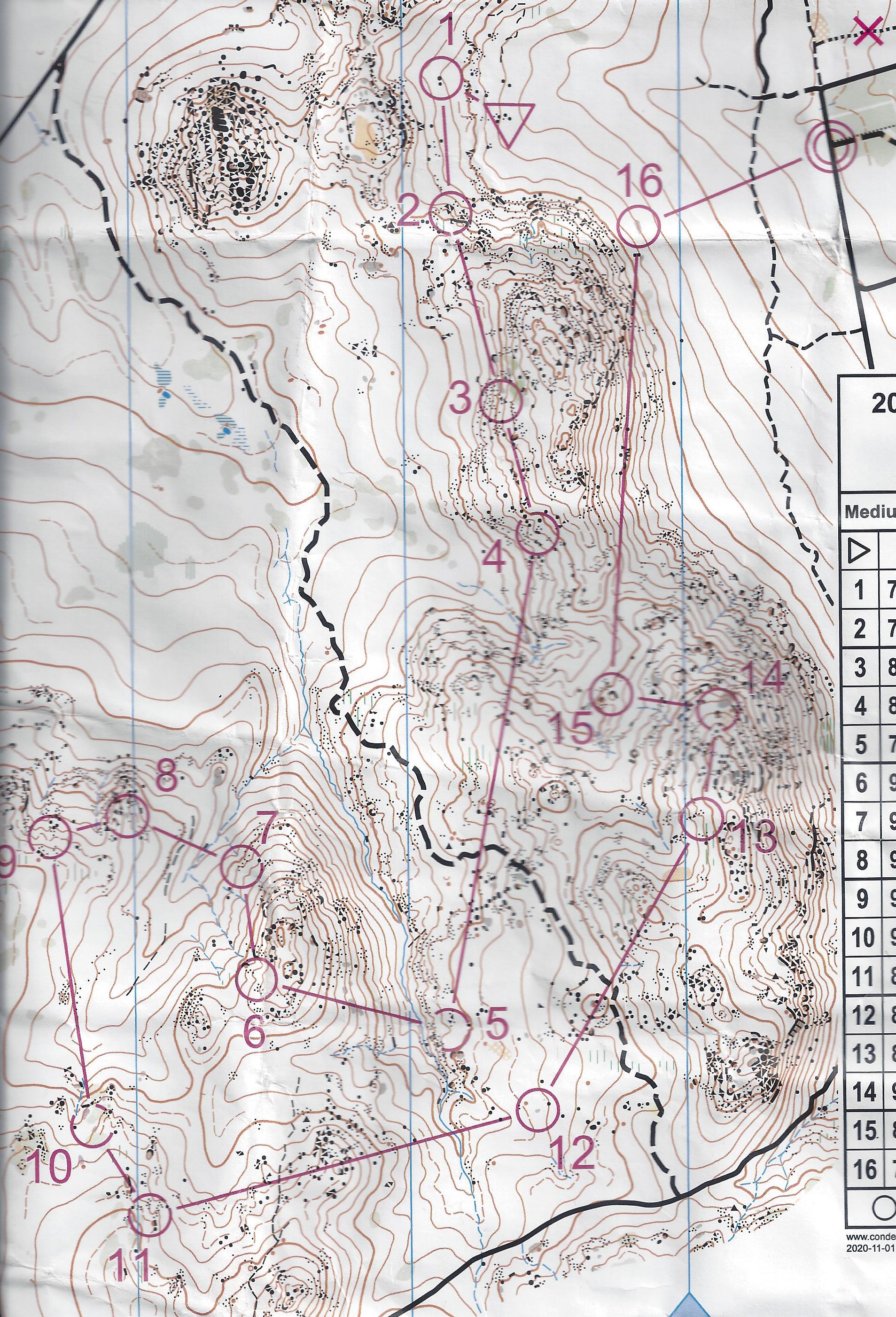 AWOC Championship (01/11/2020)