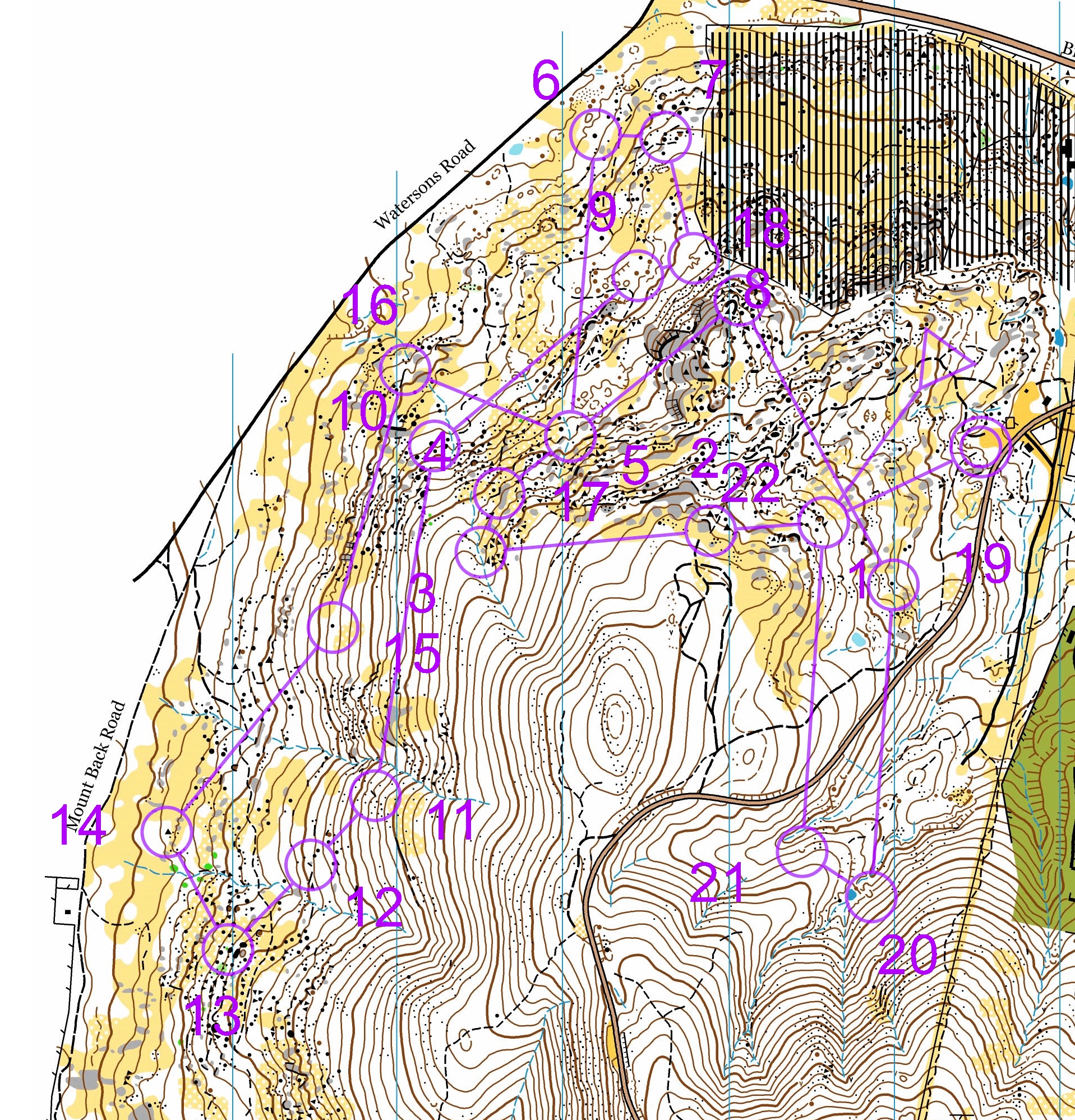 End of lockdown forest re-union (30.10.2021)
