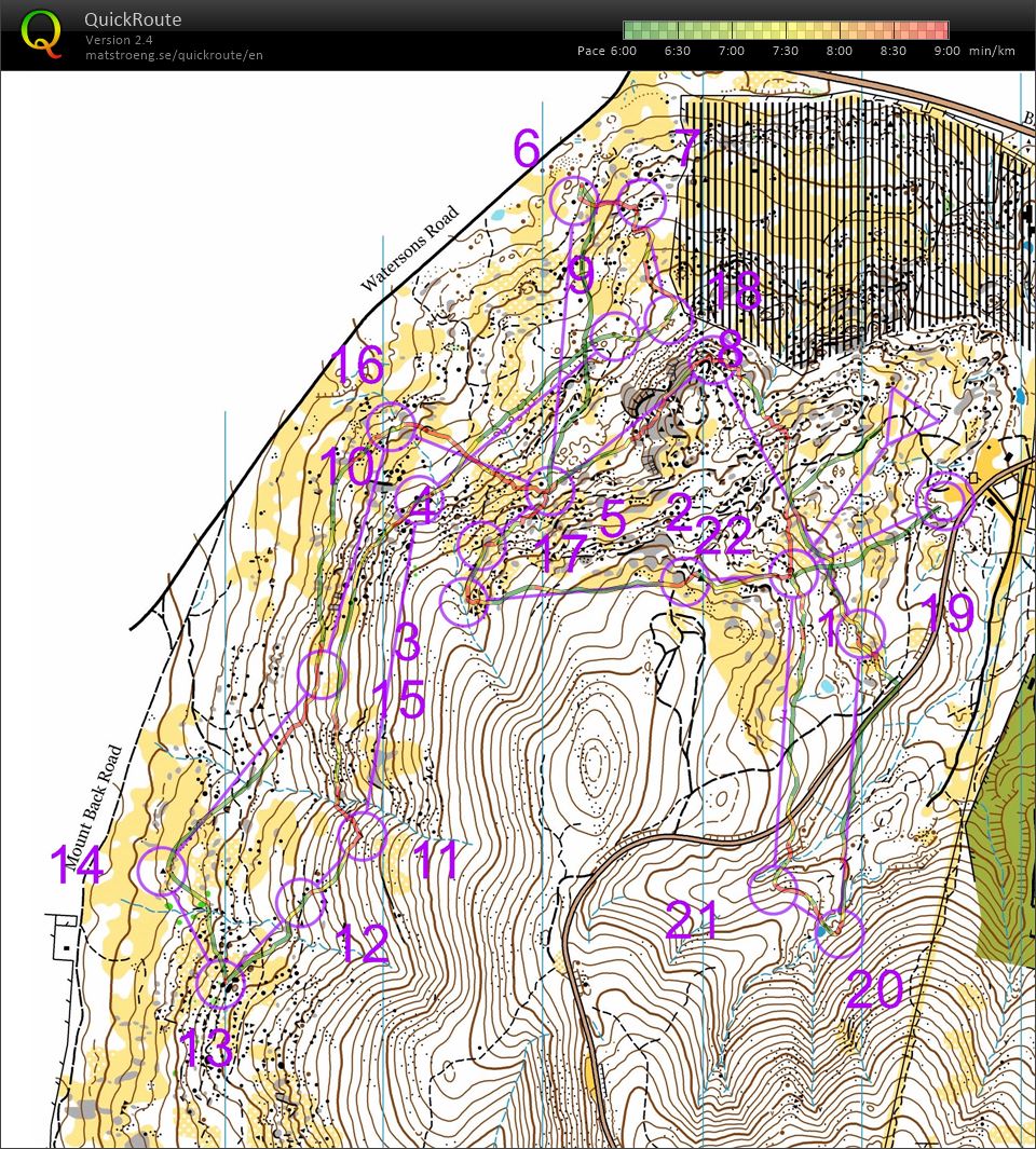 End of lockdown forest re-union (30.10.2021)