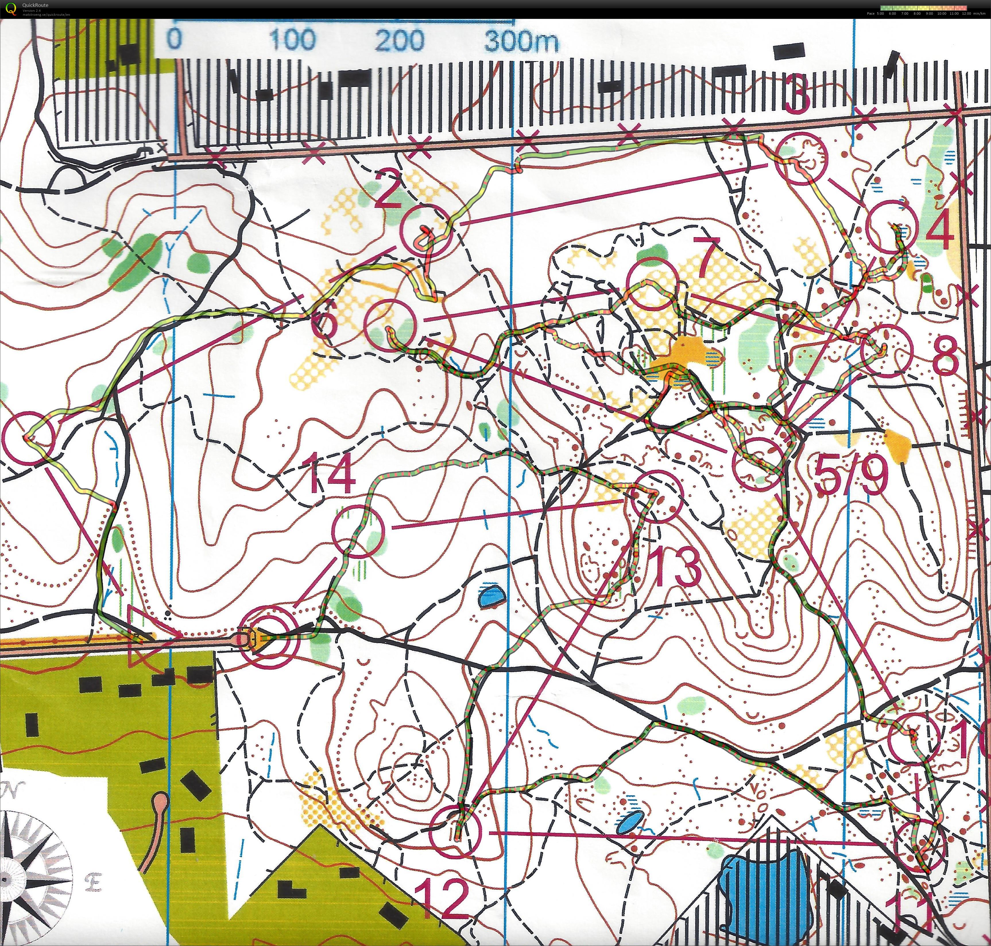 Bendigo Bush (2022-05-21)