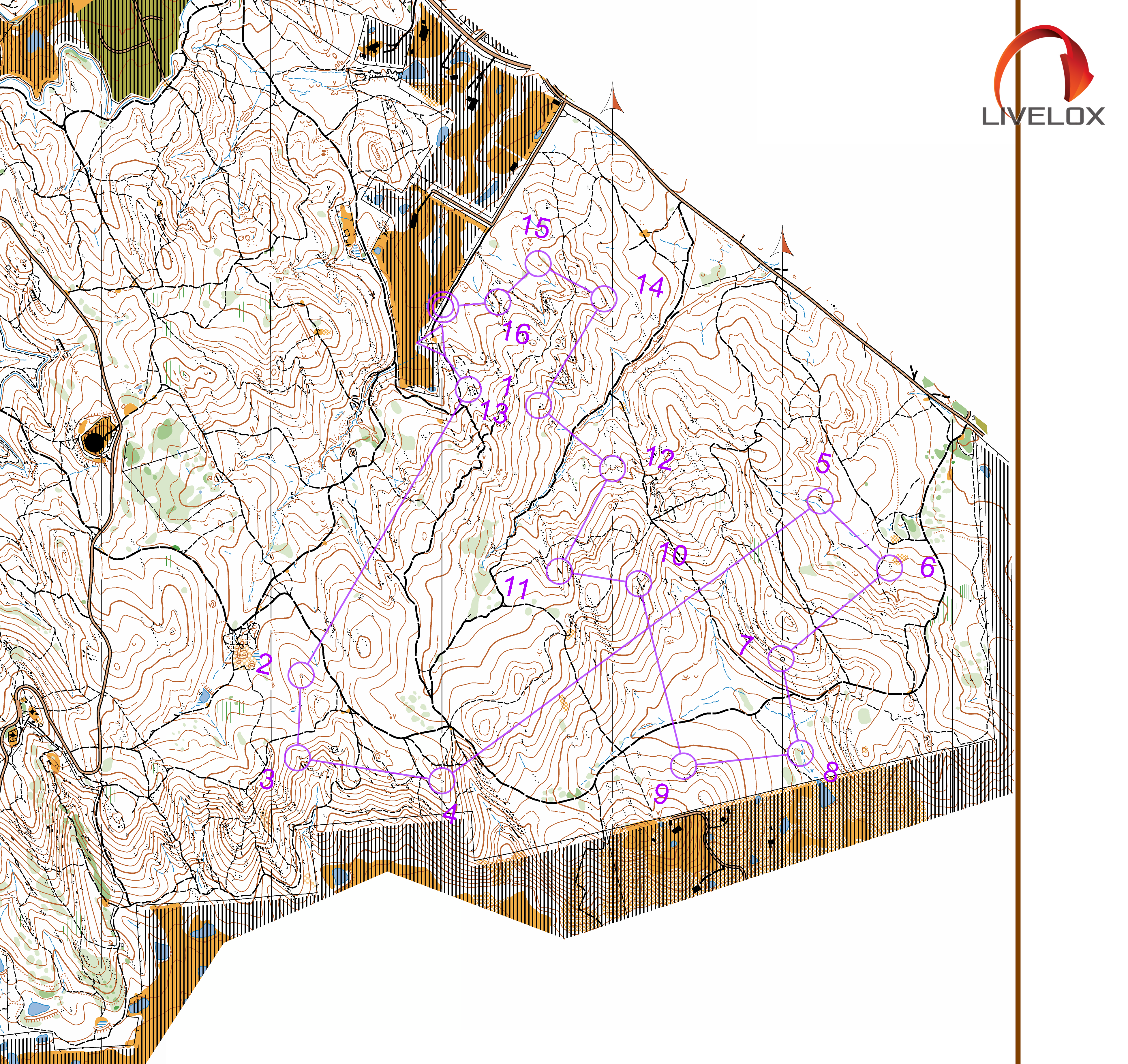 Bendigo Bush 8 (18/06/2022)