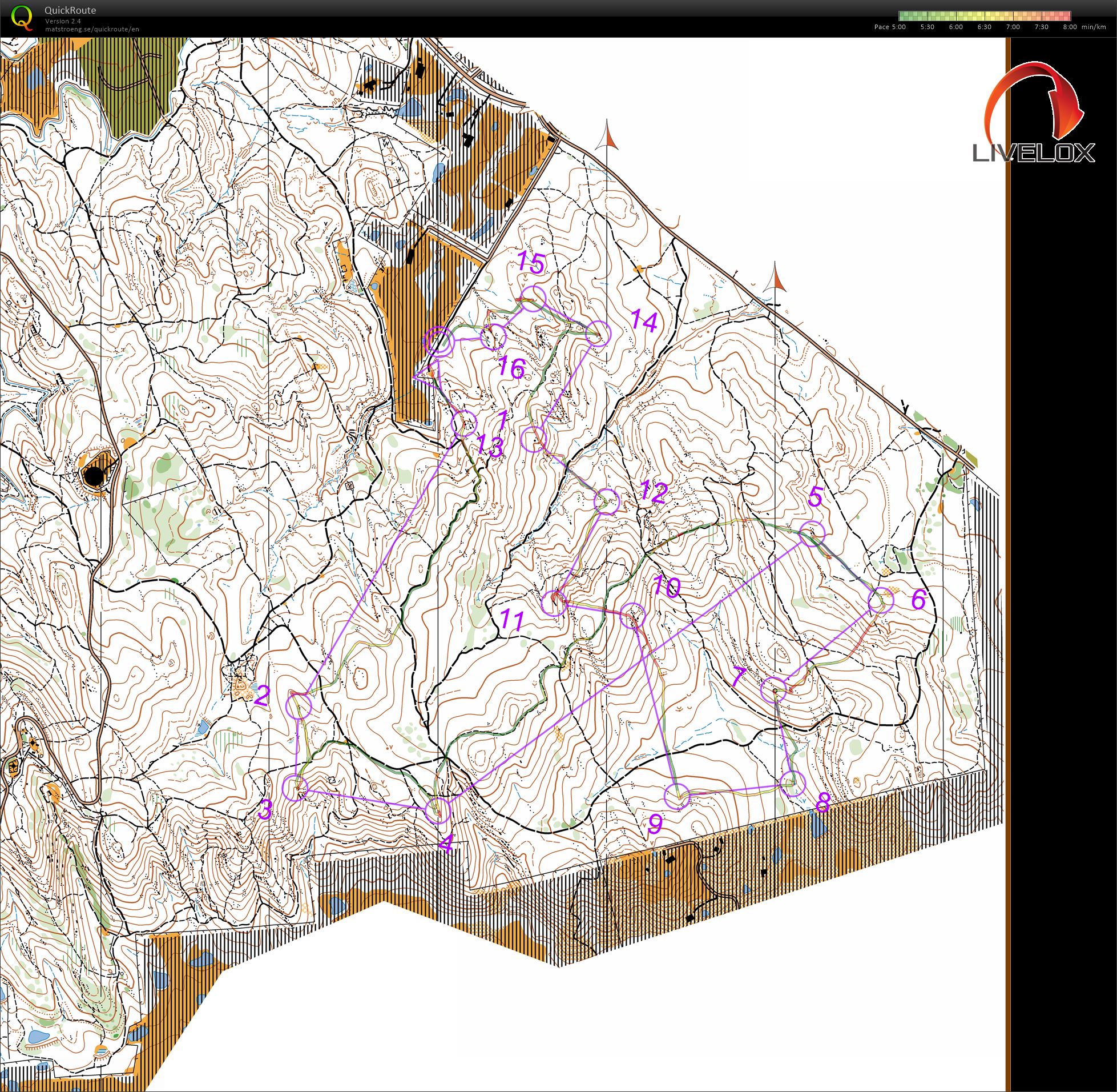 Bendigo Bush 8 (18/06/2022)