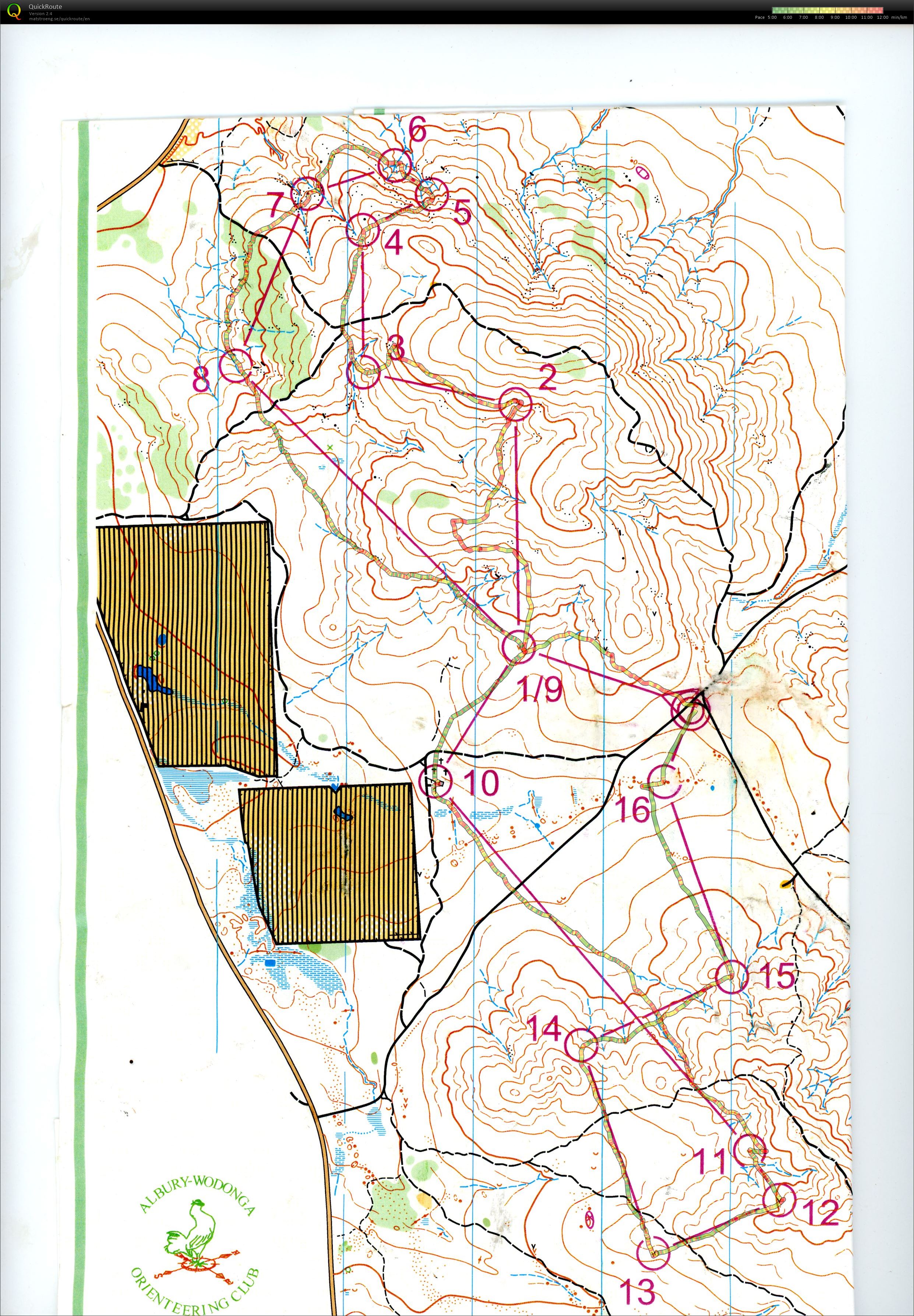 AWOC Championship (06.11.2022)
