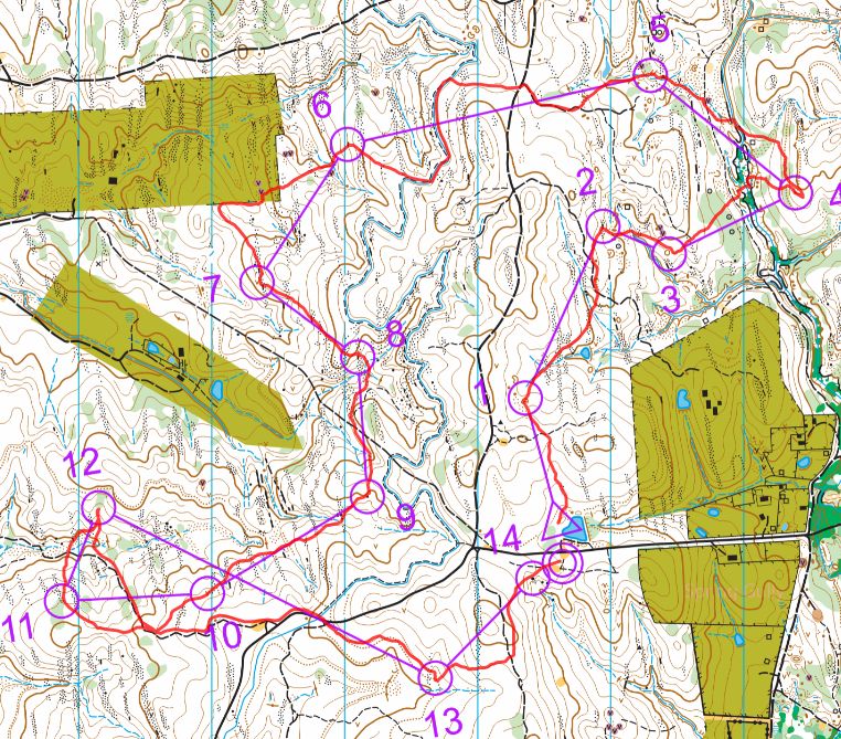 Autumn Series (07-05-2023)