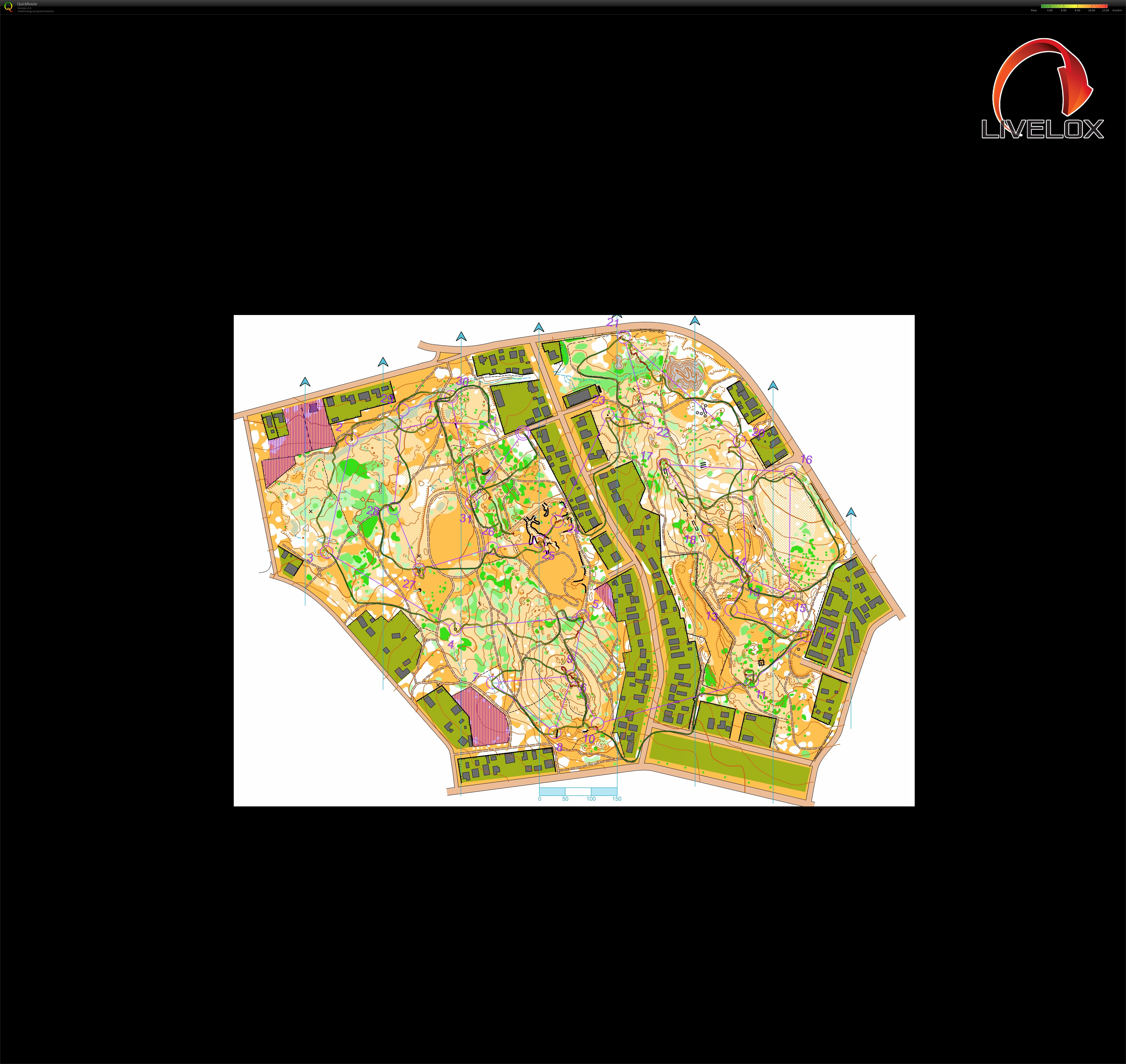 Bendigo Series #9 (01-07-2023)