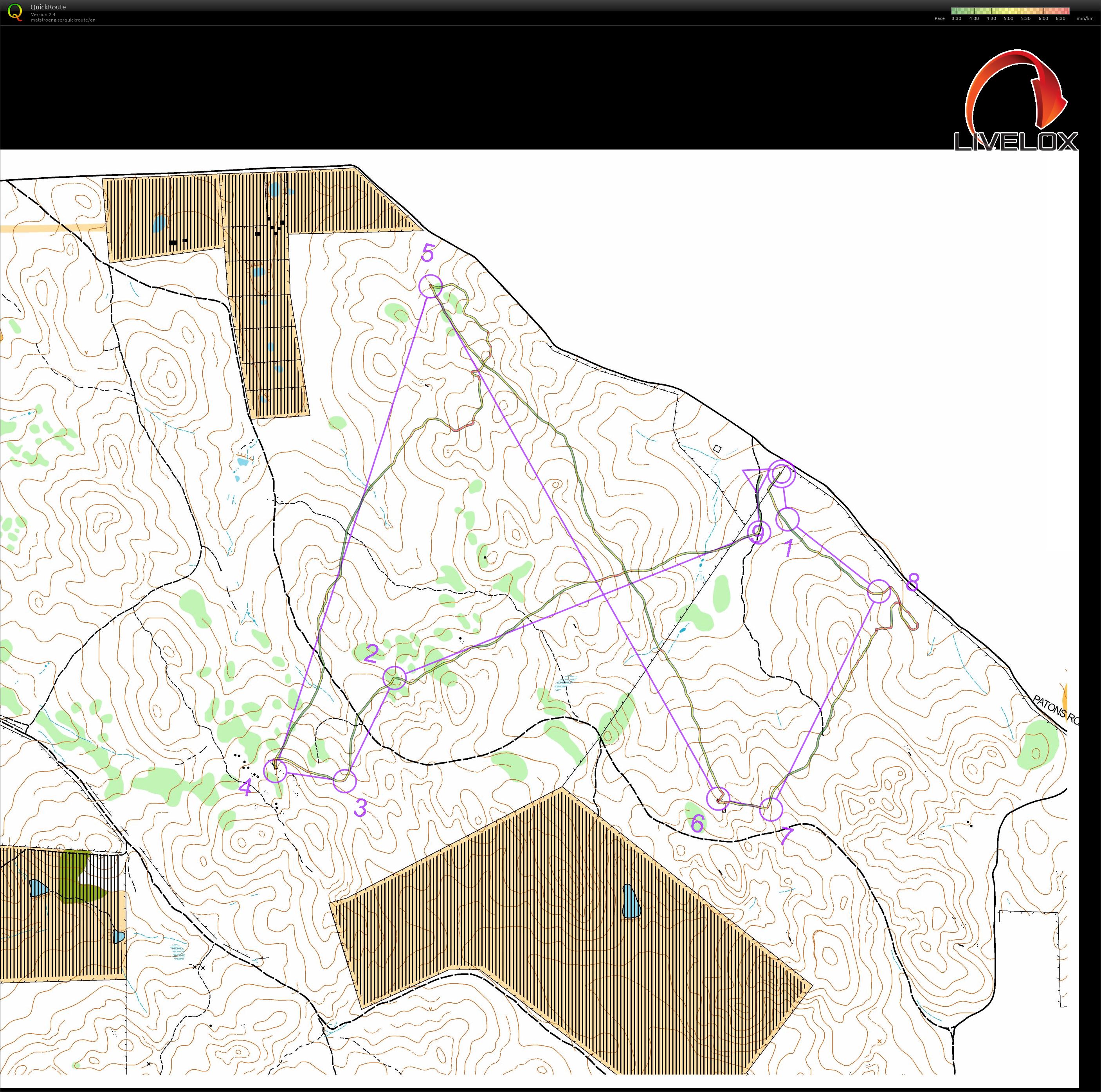 Bendigo Series #12 (29.07.2023)