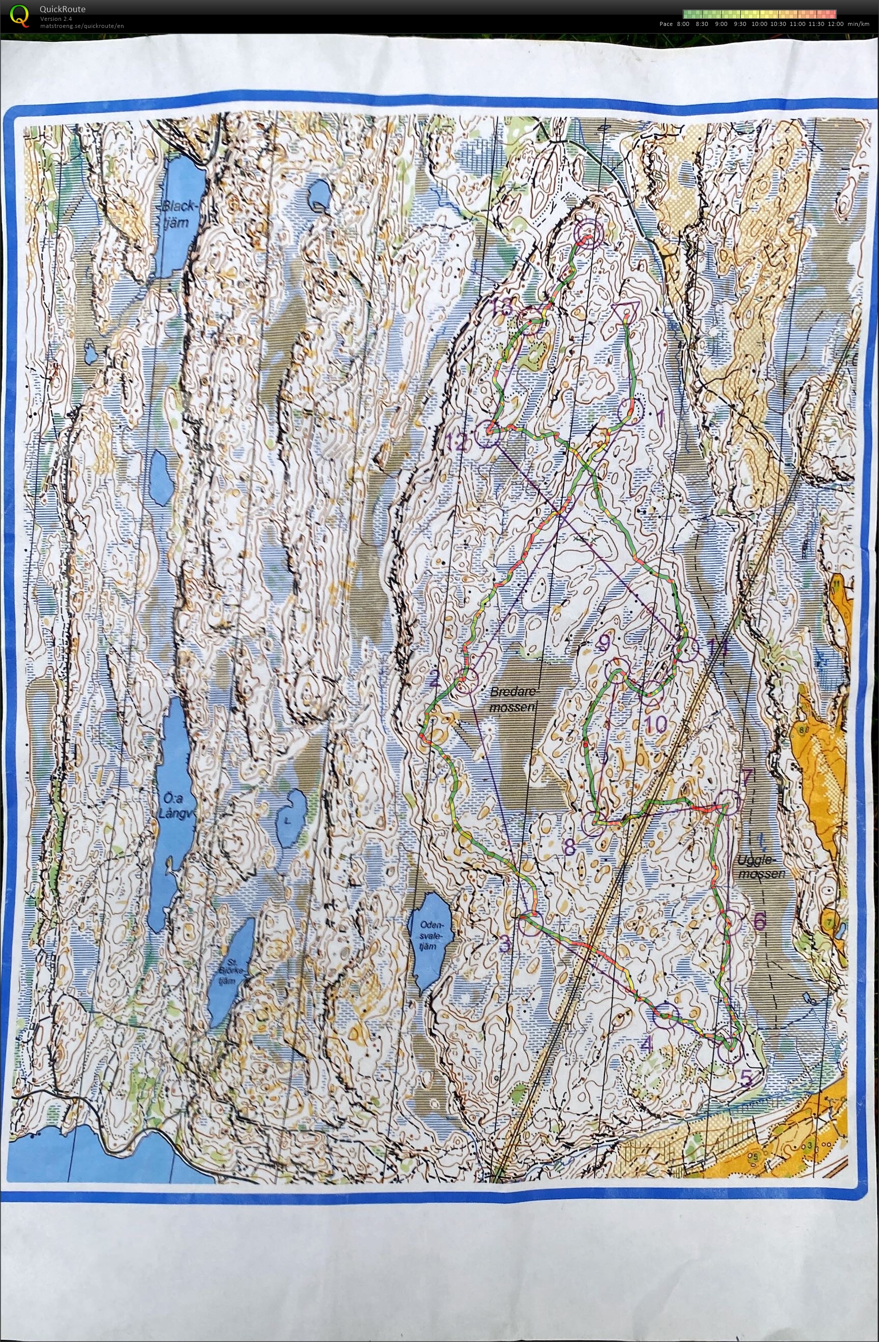 Gothenburg training on WMOC 2015 map (2024-07-29)