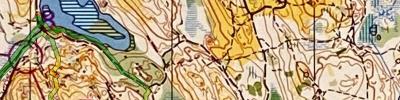 Gothenburg training on JWOC 2008 map