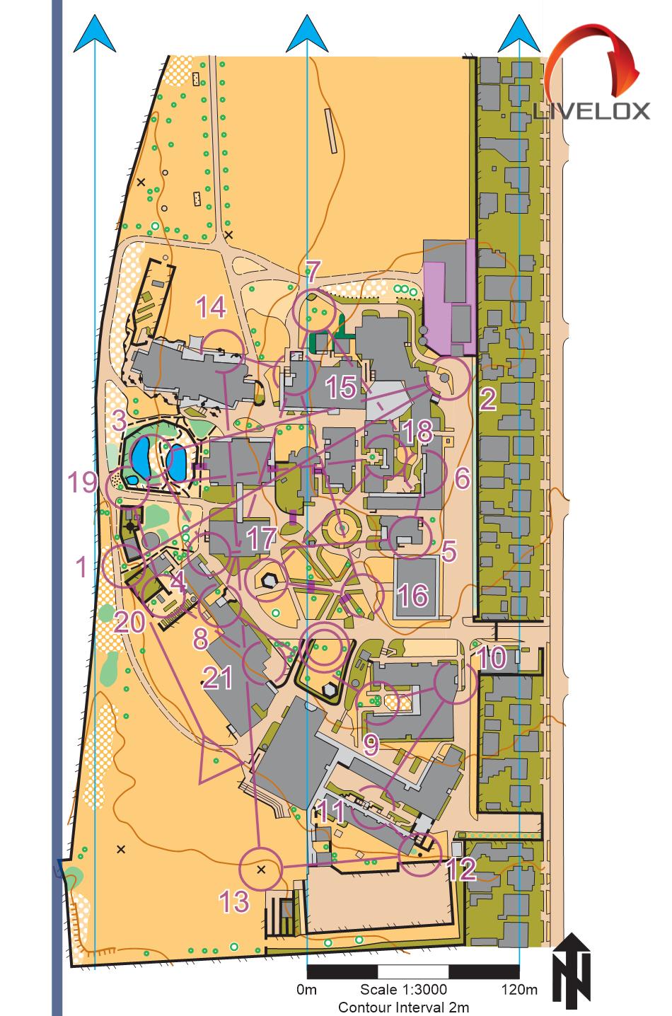 Summer Shorts and Sprints 2 (2024-10-19)