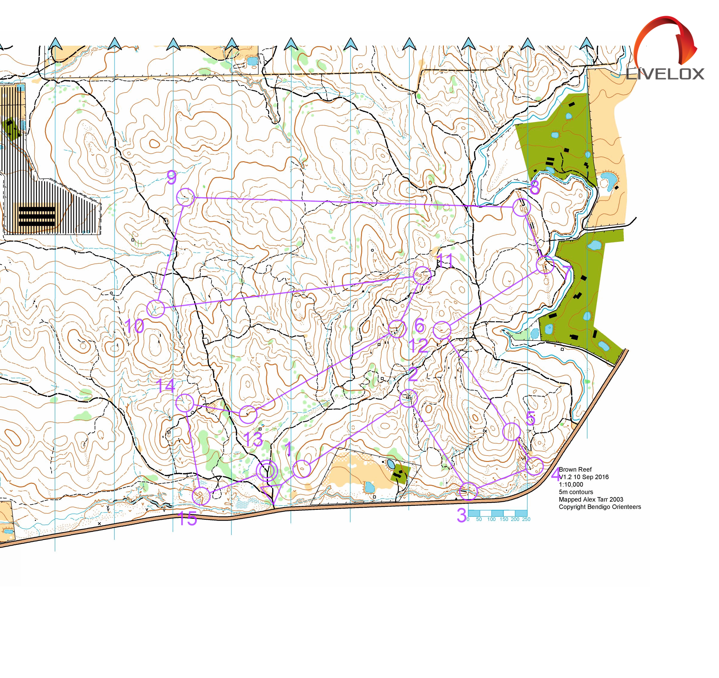 2025 Bendigo Bush (29.03.2025)