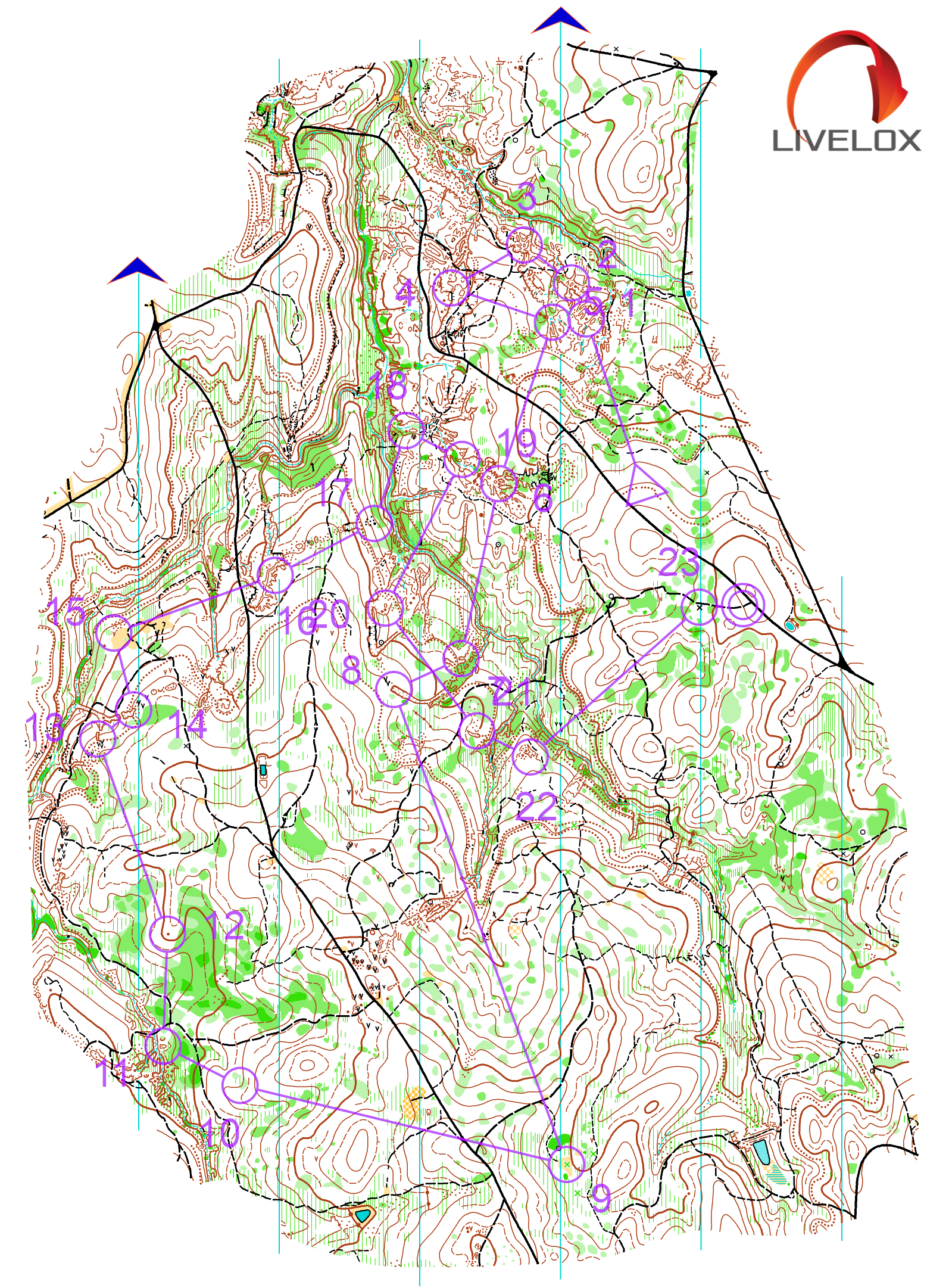2025 Vic State Series 5 (08.06.2025)